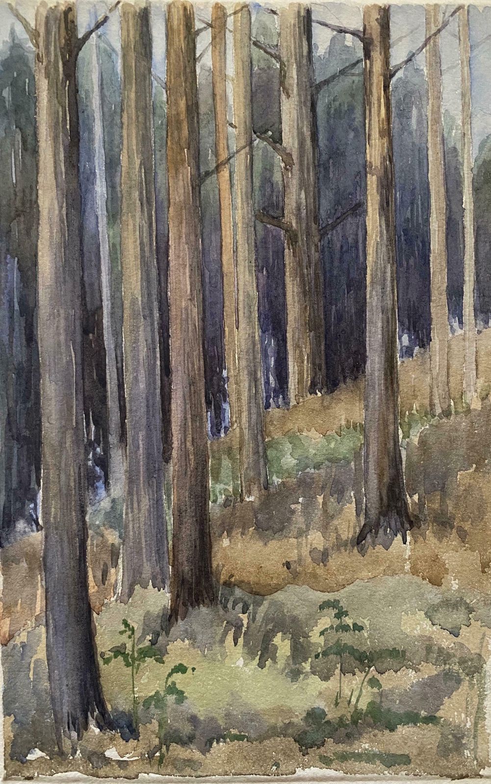 Unknown1900's English Impressionist Watercolor Painting Captivating Midnight Forestc. 1900's