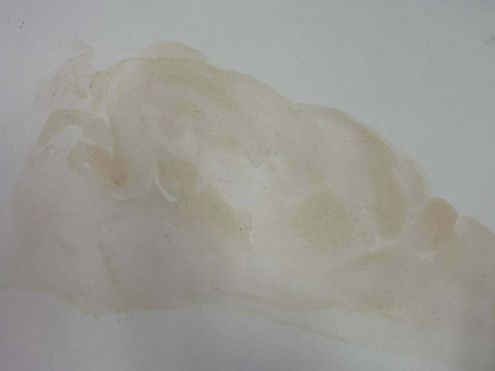 French Modernistlying Nude Lady Model 1970's French Modernist Painting Provence Collection1970's photo 919.0