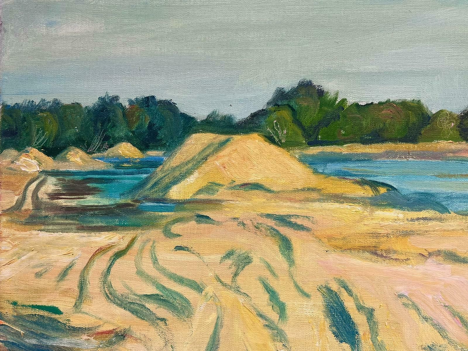 French Schoolmid 20th Century French Post Impressionist Rural Fields By River Large Painting photo furniture
