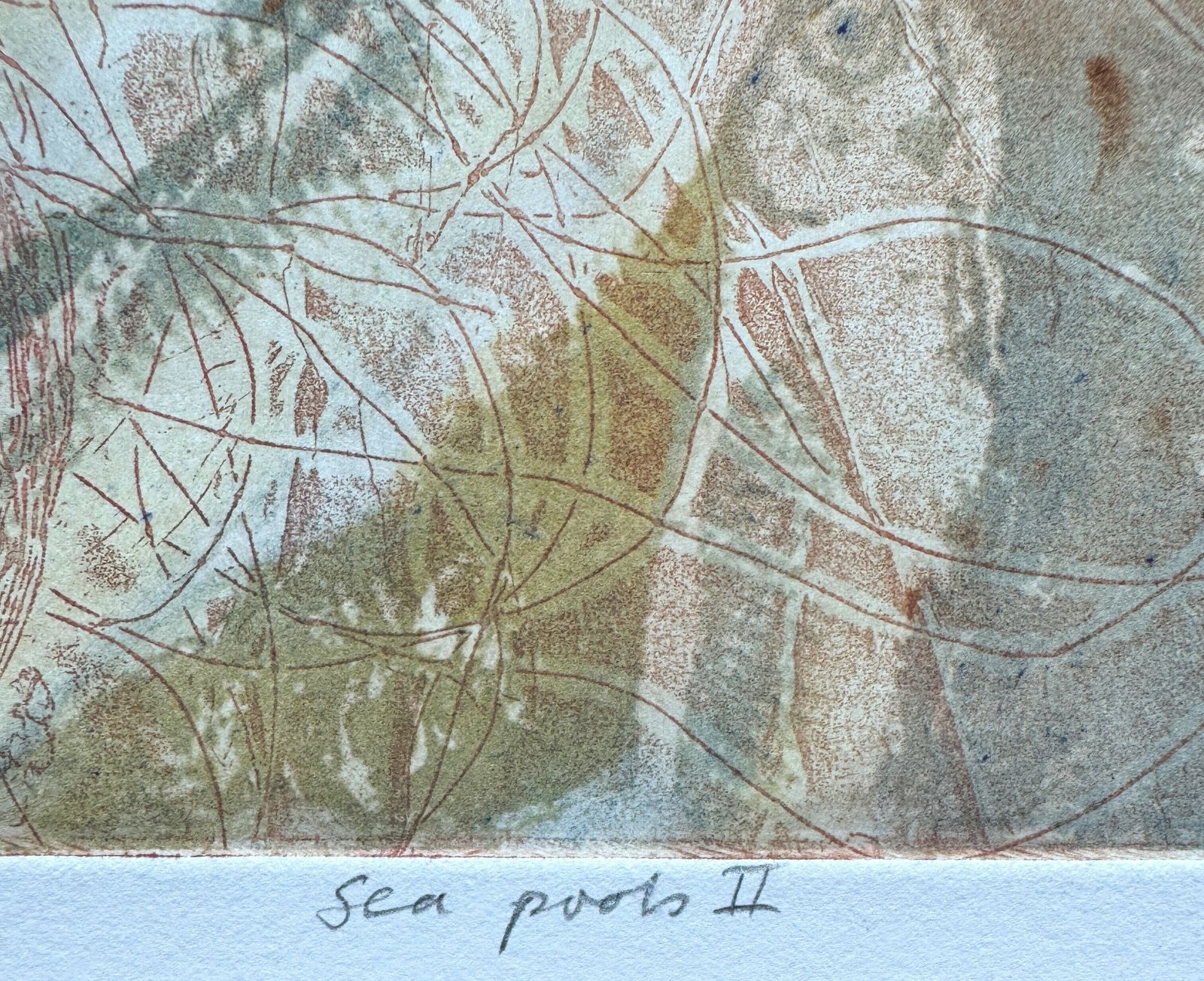 Sea Pools II  Original Limited Edition Signed Etching By Susan Fisher photo 85.0