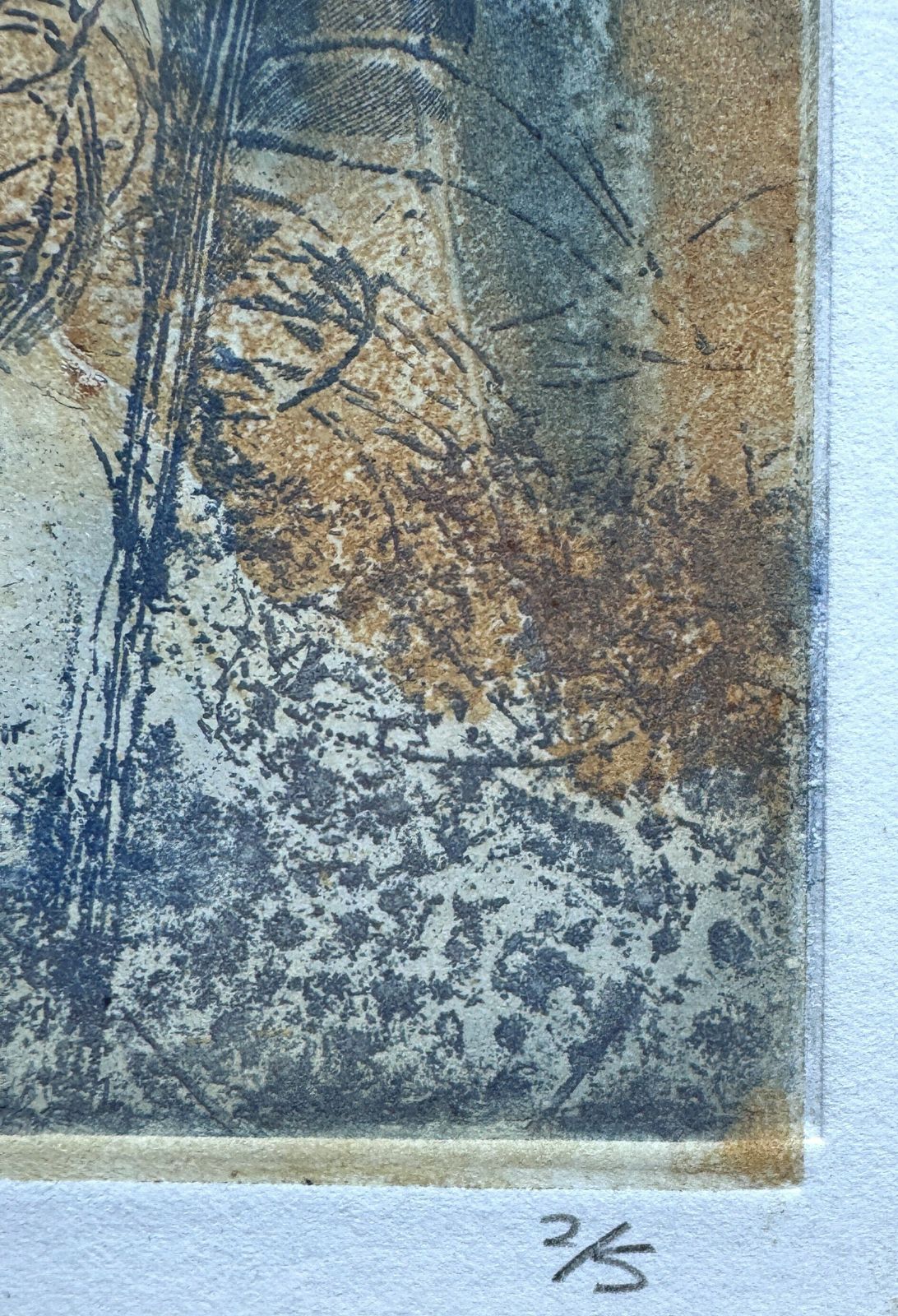 Sea Pools IV Original Limited Edition Signed Etching By Susan Fisher photo Art