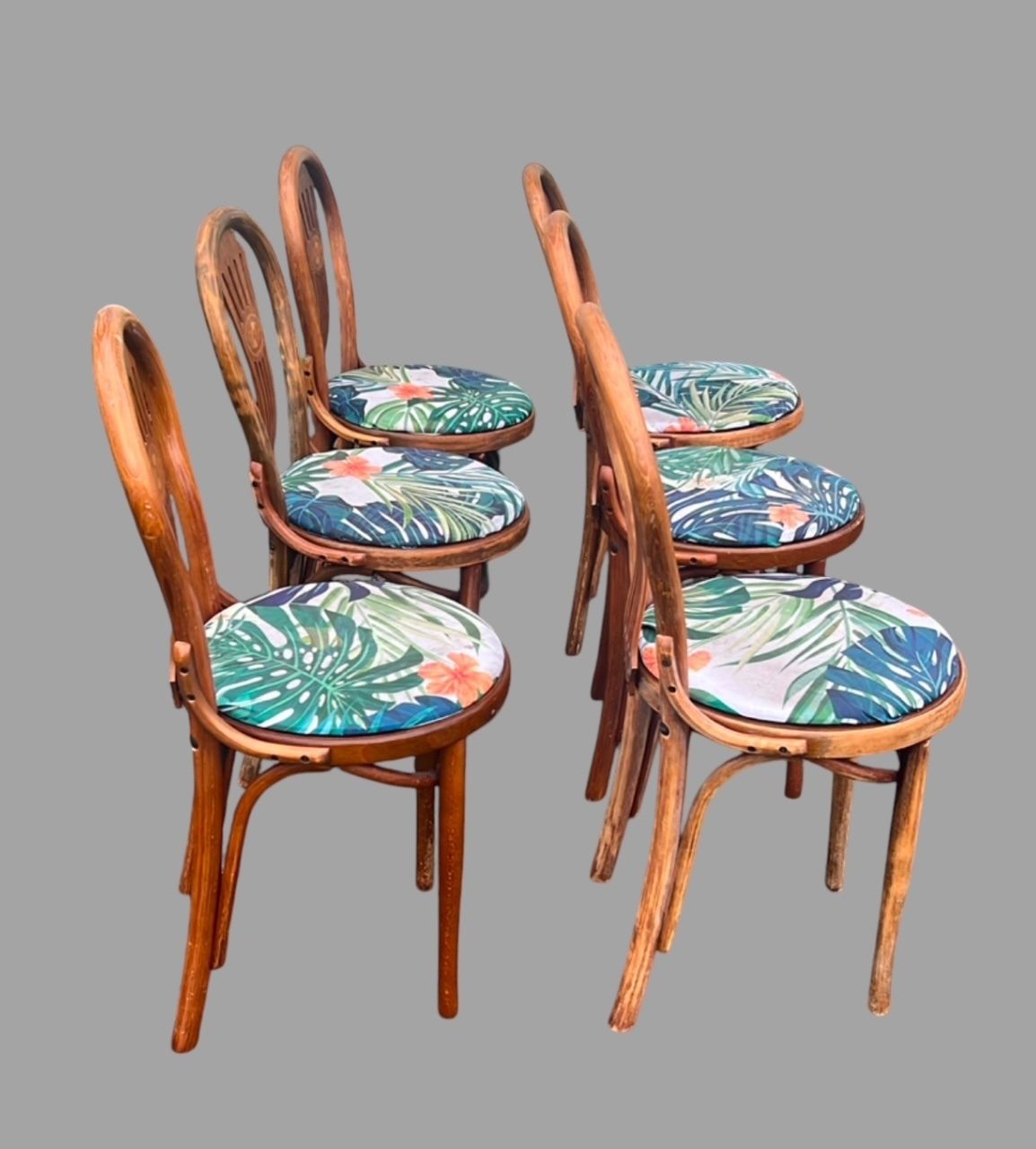 A Set Of Six Bentwood Beechwood Chairs photo furniture