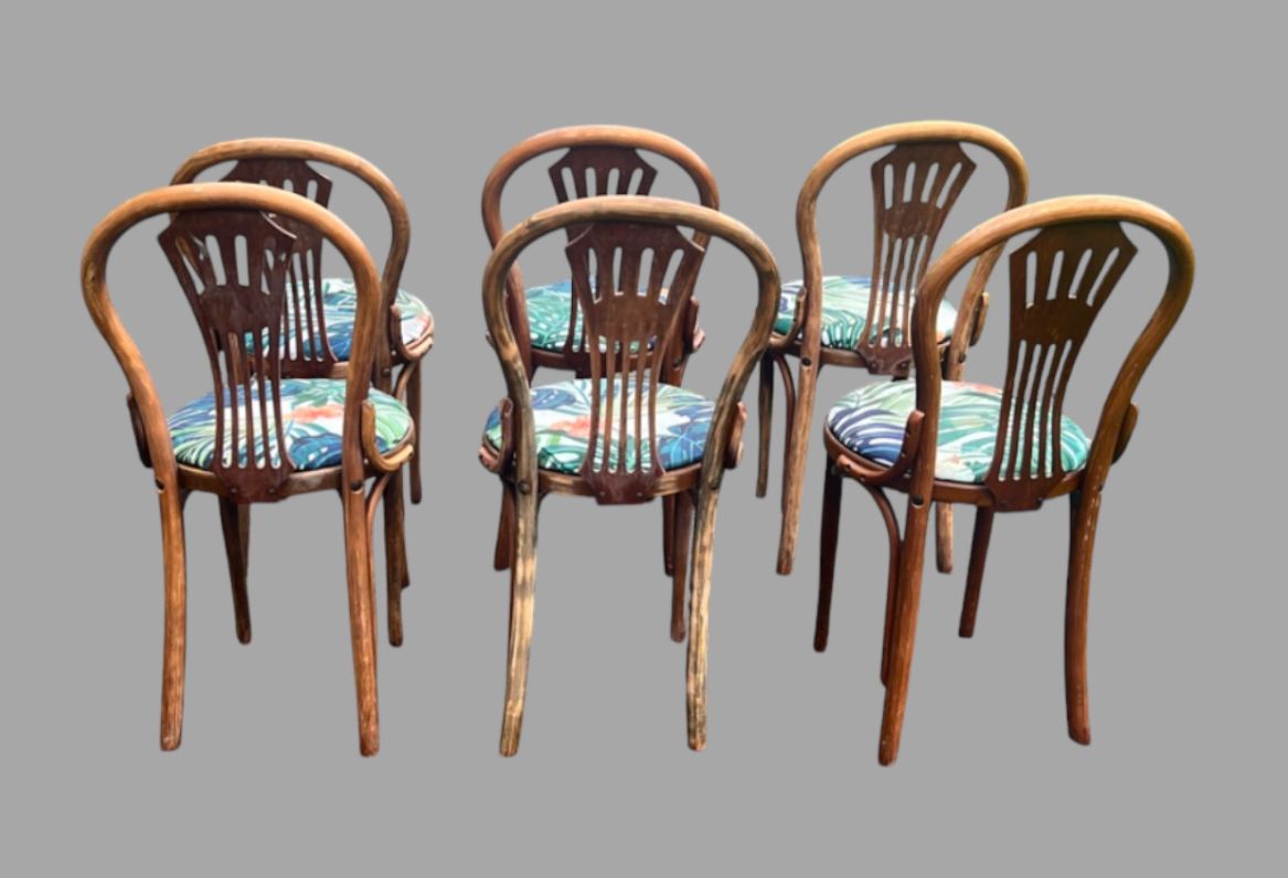 A Set Of Six Bentwood Beechwood Chairs photo for sale