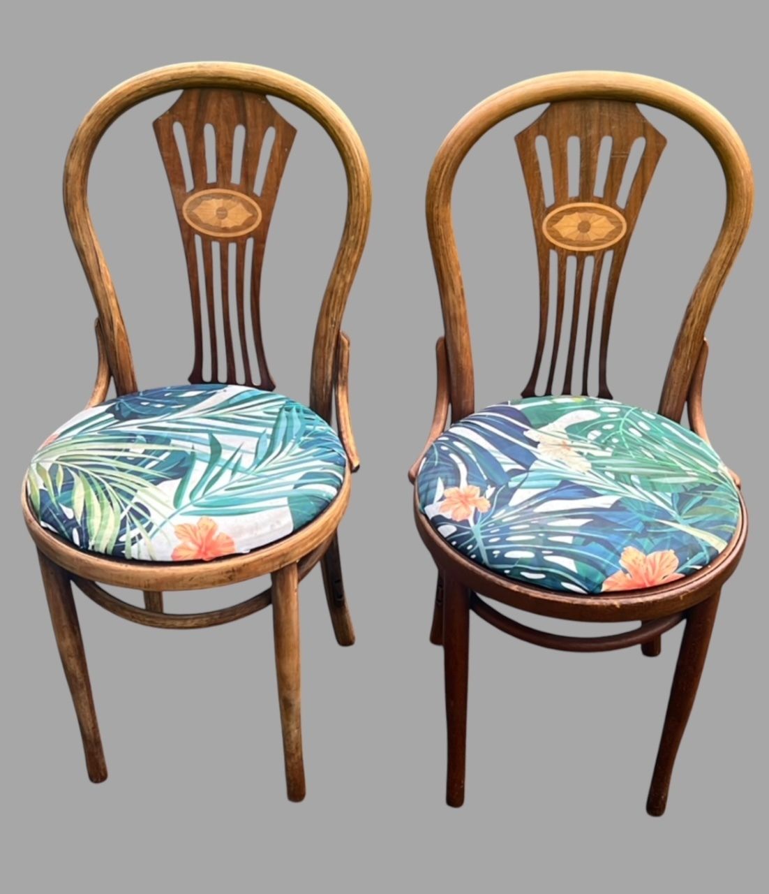 A Set Of Six Bentwood Beechwood Chairs photo 350.0