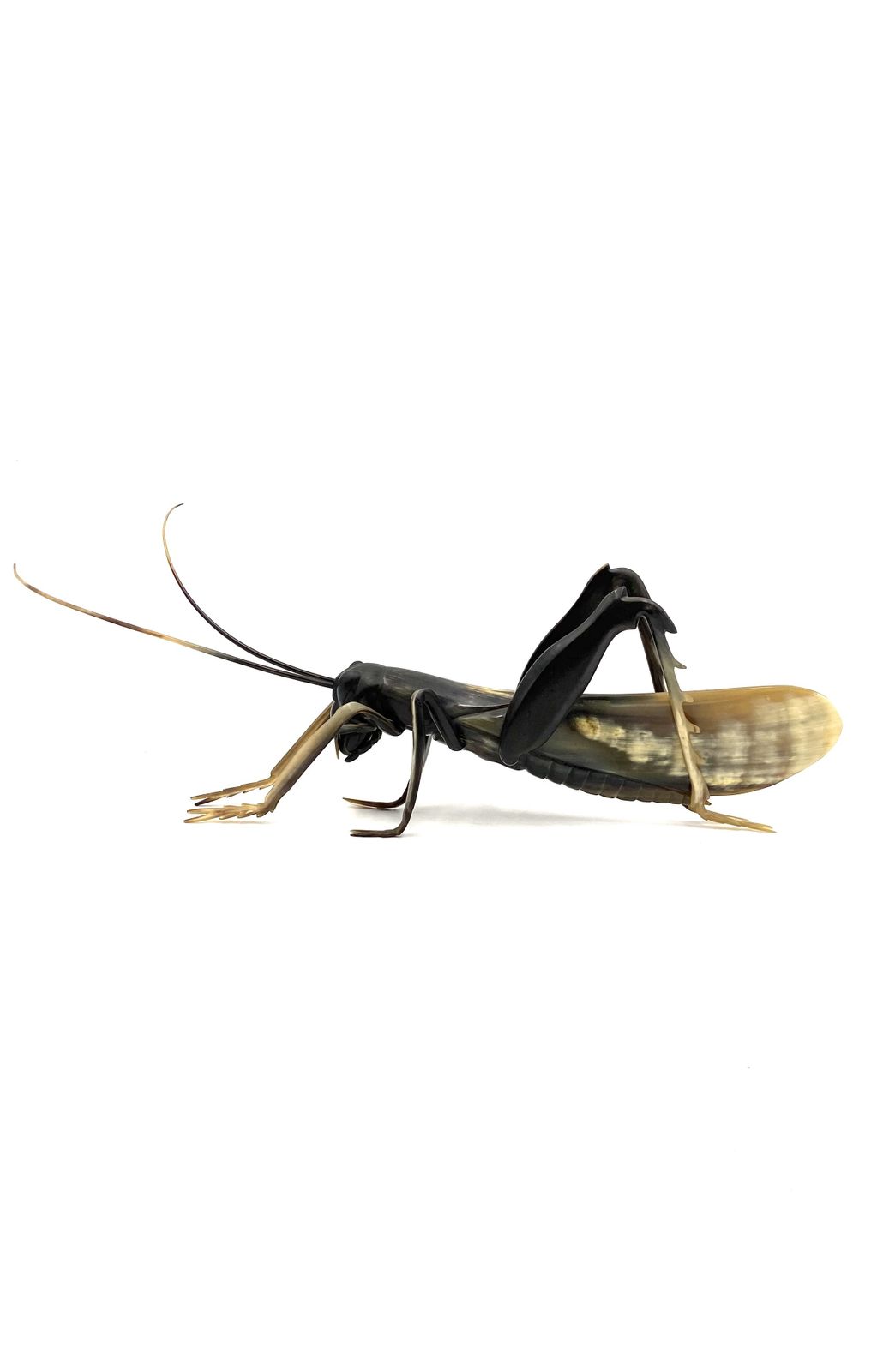 Mid Century Hand Crafted Horn Grasshopper, France 1960s photo vintage