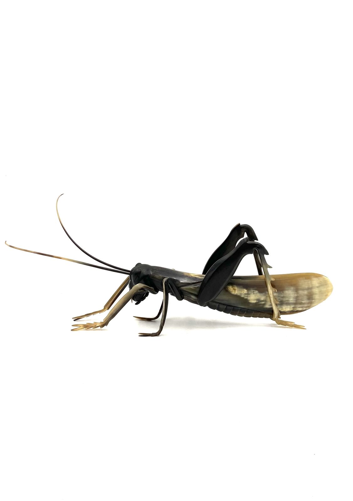1000.0 Mid Century Hand Crafted Horn Grasshopper, France 1960s photo