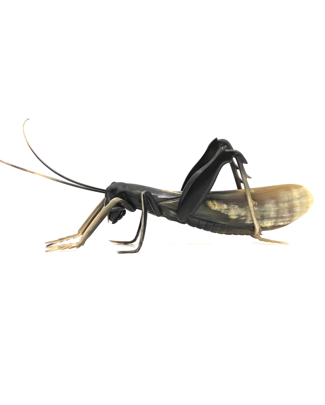 Mid Century Hand Crafted Horn Grasshopper, France 1960s