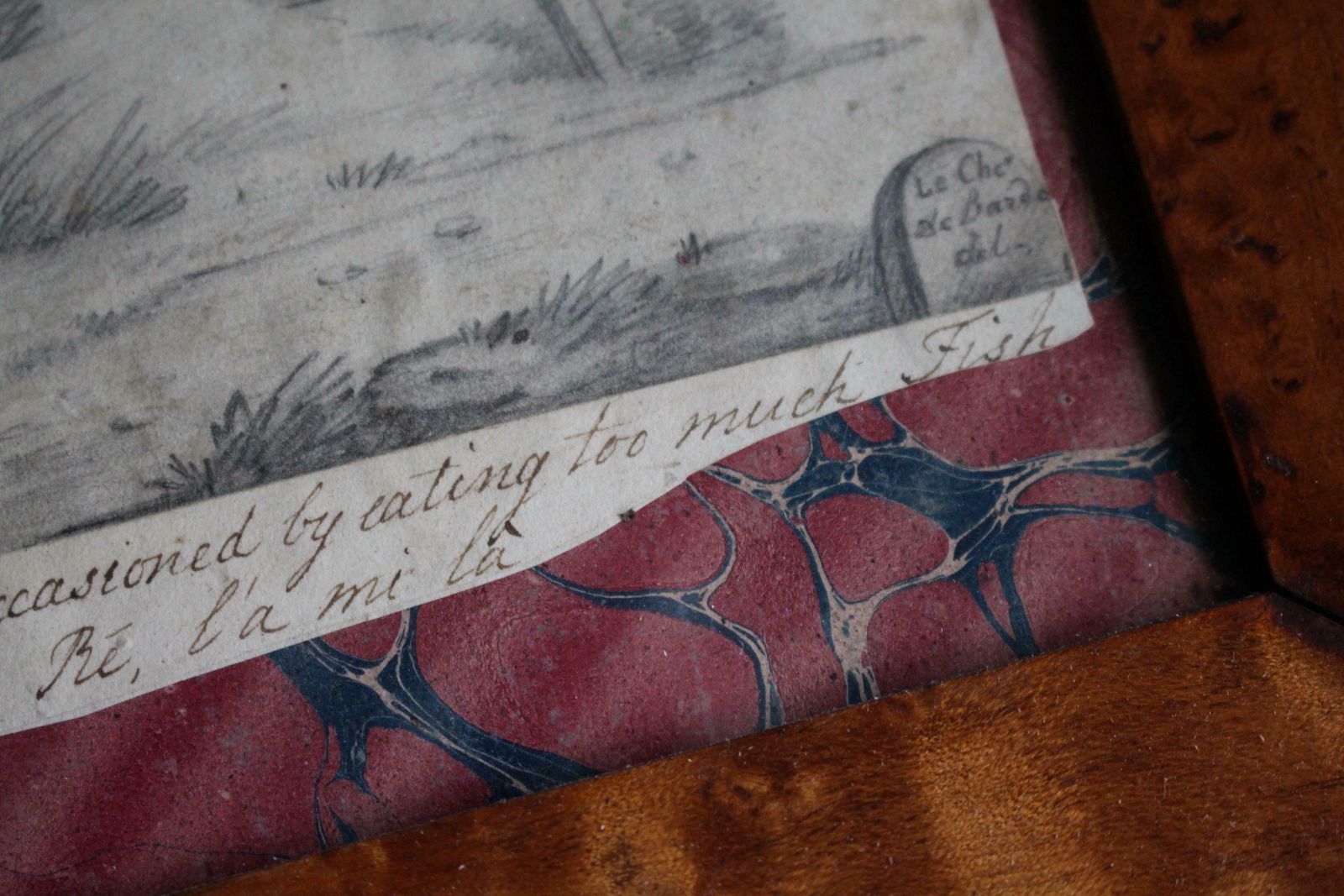 Late 19th Century Pencil Sketch Epitaph Man Who Ate Too Much Fish Curio Macabre photo vinterior