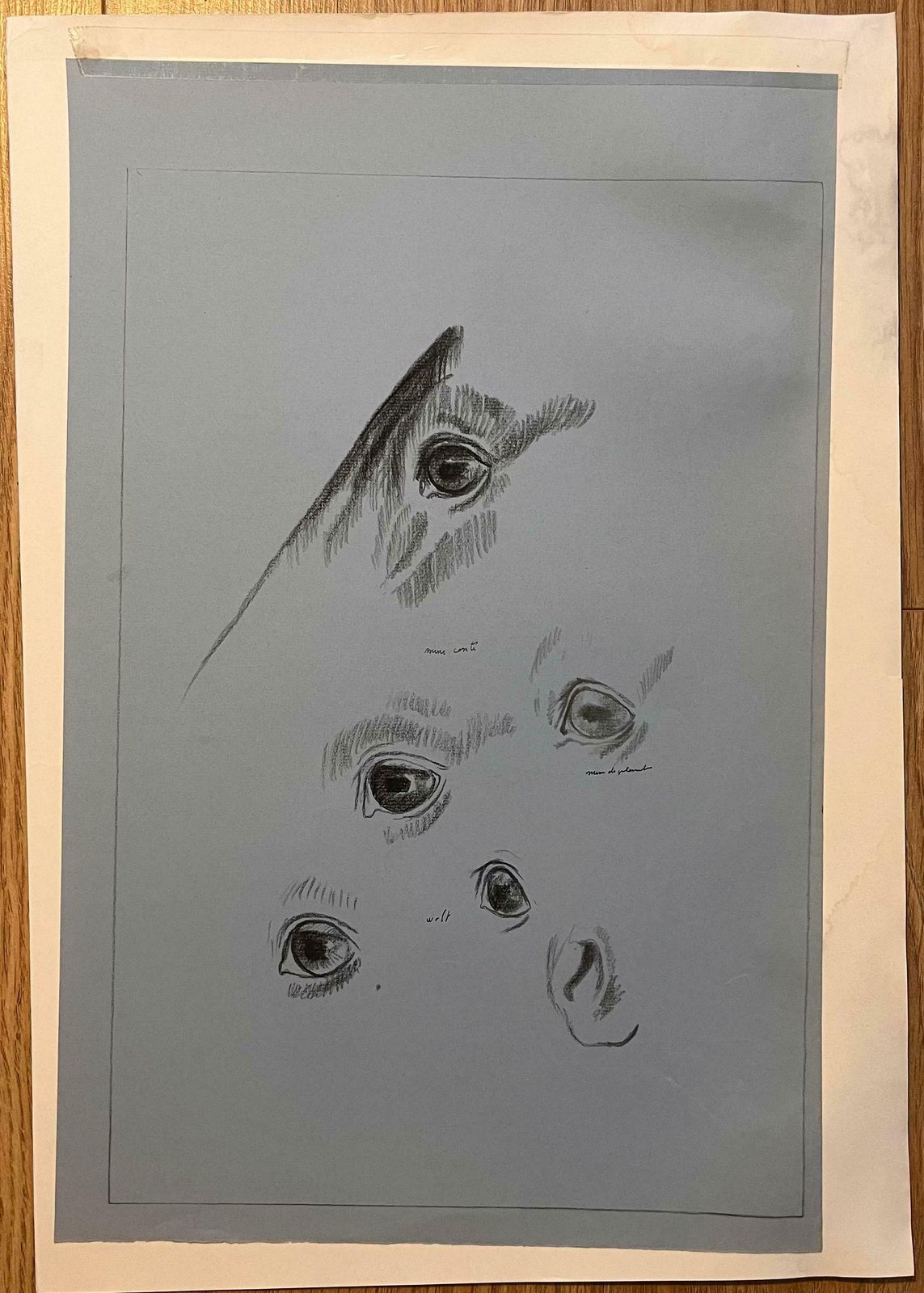 Robert Ladouoriginal French Anatomical Pencil Study Of A Horse's Eye's And Nose20th Century photo furniture