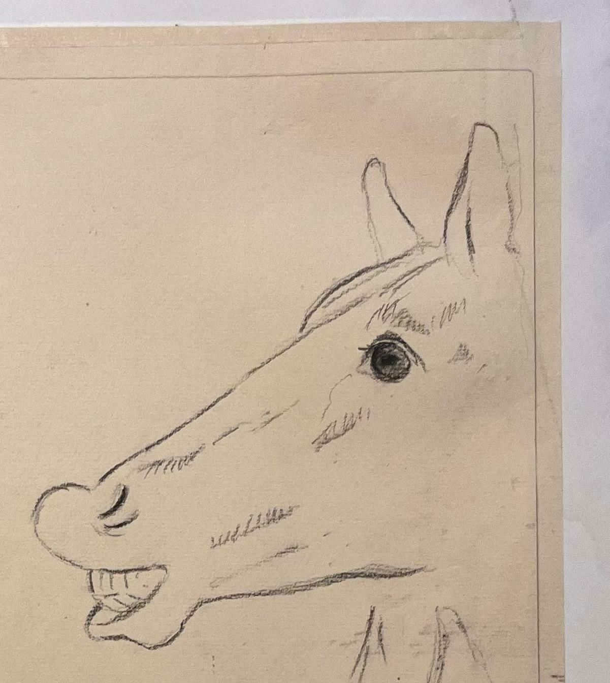 Robert Ladouoriginal French Anatomical Pencil Study Exploring Horse's Expressions20th Century photo for sale