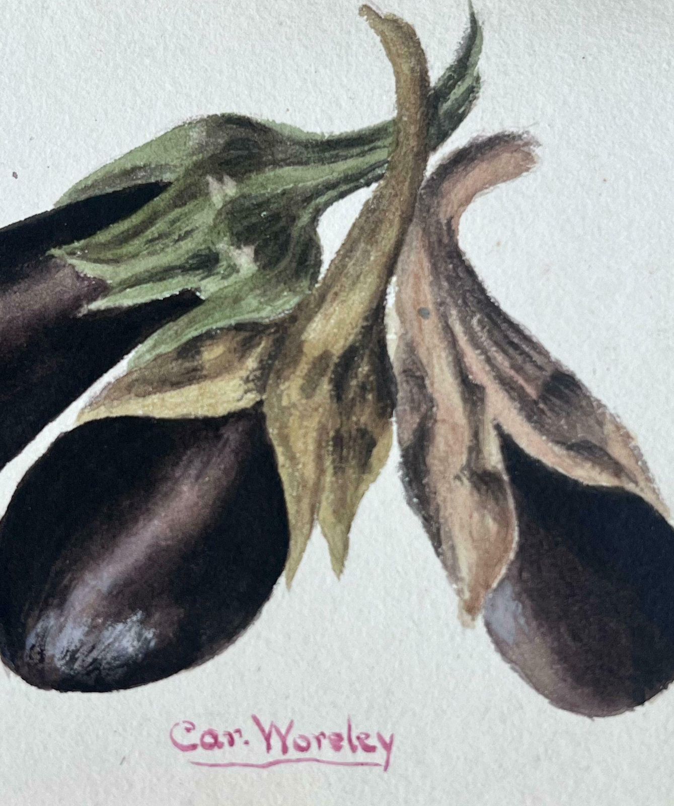 Caroline Worsleythree Egg Plants Vegetable Fine Antique British Paintingc.1900's photo for sale