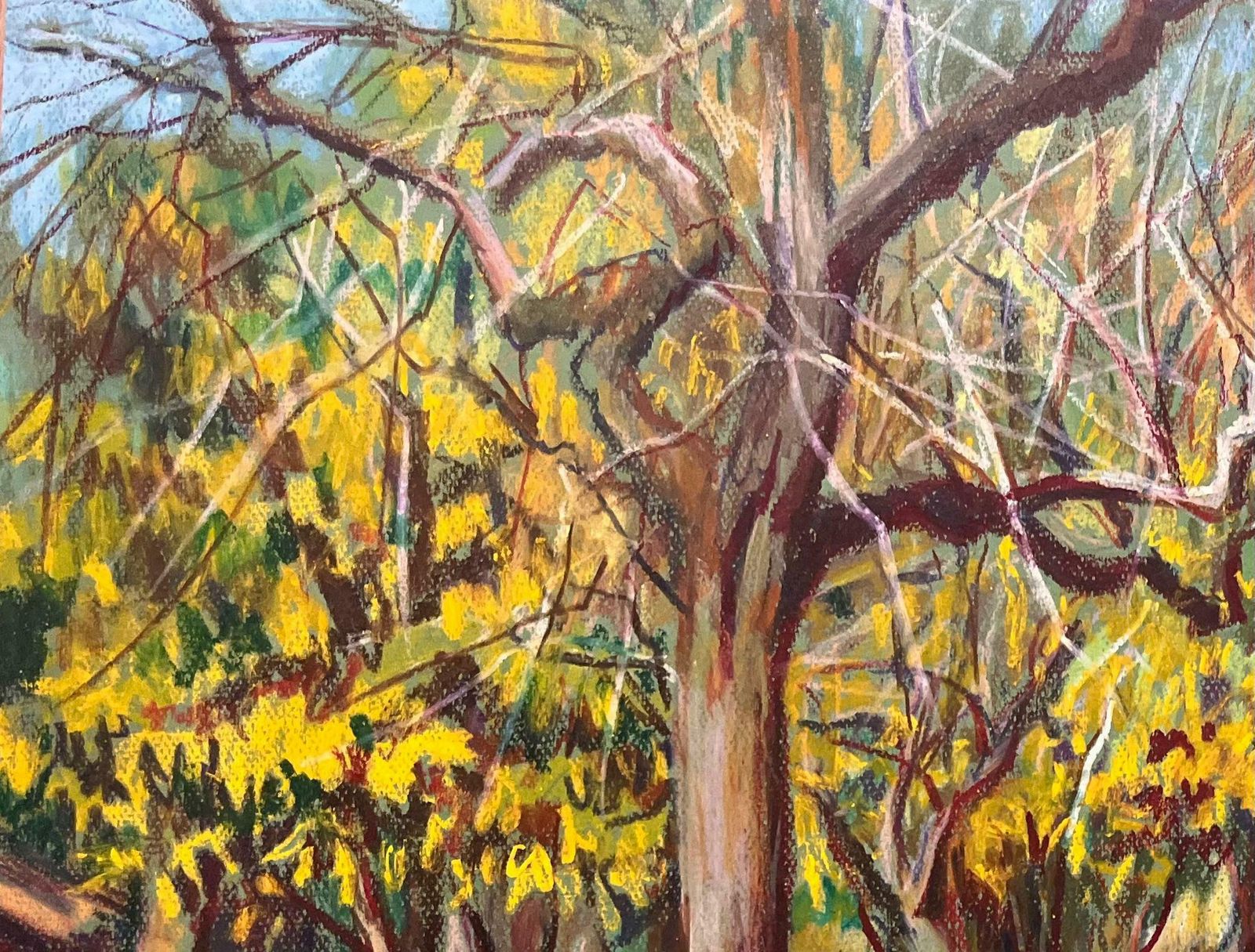 Josine Vignonmid Century French Original Pastel Painting Of Vibrant Sun Drenched Orchard1950's photo for sale