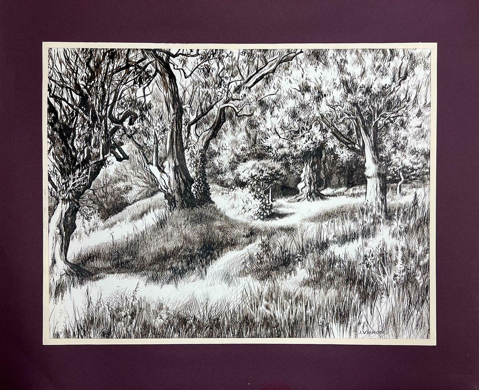 Josine Vignon1950s Black & White Ink Drawing Olive Tree Renoirs Garden Cagnes Sur Mer1950s photo furniture