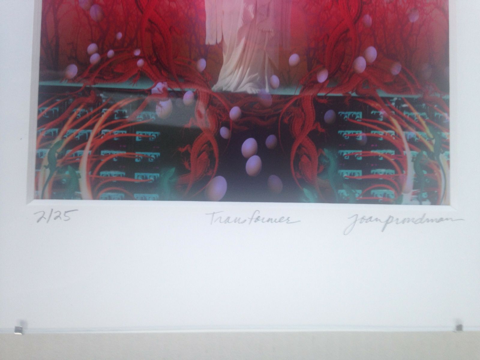 Transformer, 2010, By Joan Proudman photo for sale