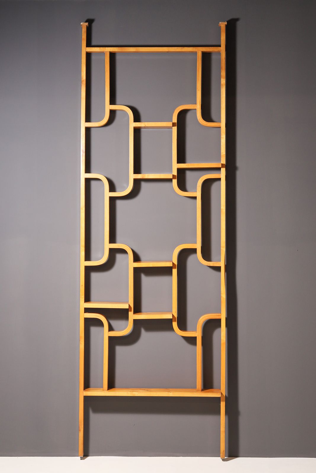 Mid Century Roomdivider Van Ludvik Volak Voor Drevopodnik Holesov, Jaren 1970 photo furniture
