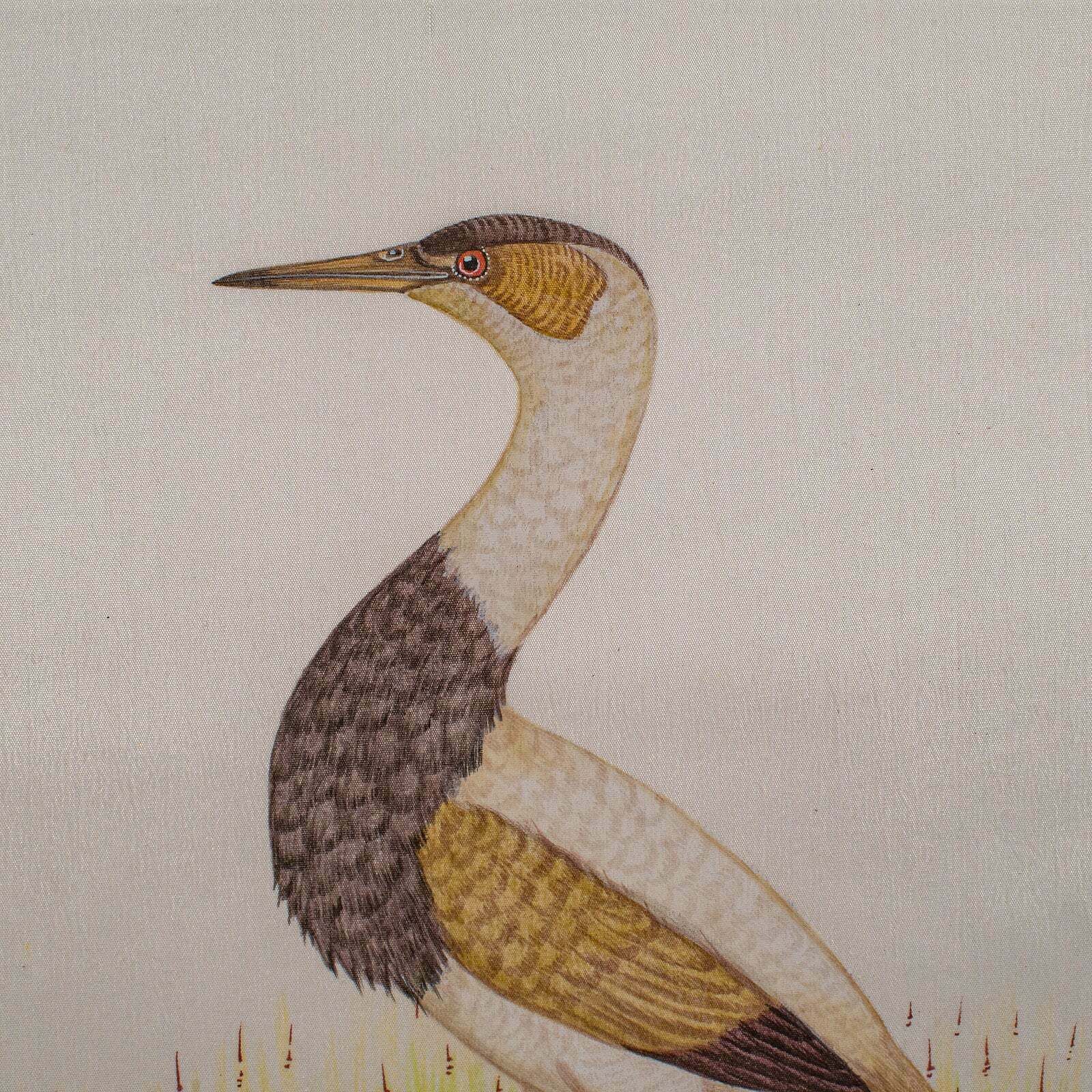 Pair Of Antique Bird Paintings, English, Framed Silk Art, Ornithology, Victorian photo 795.0