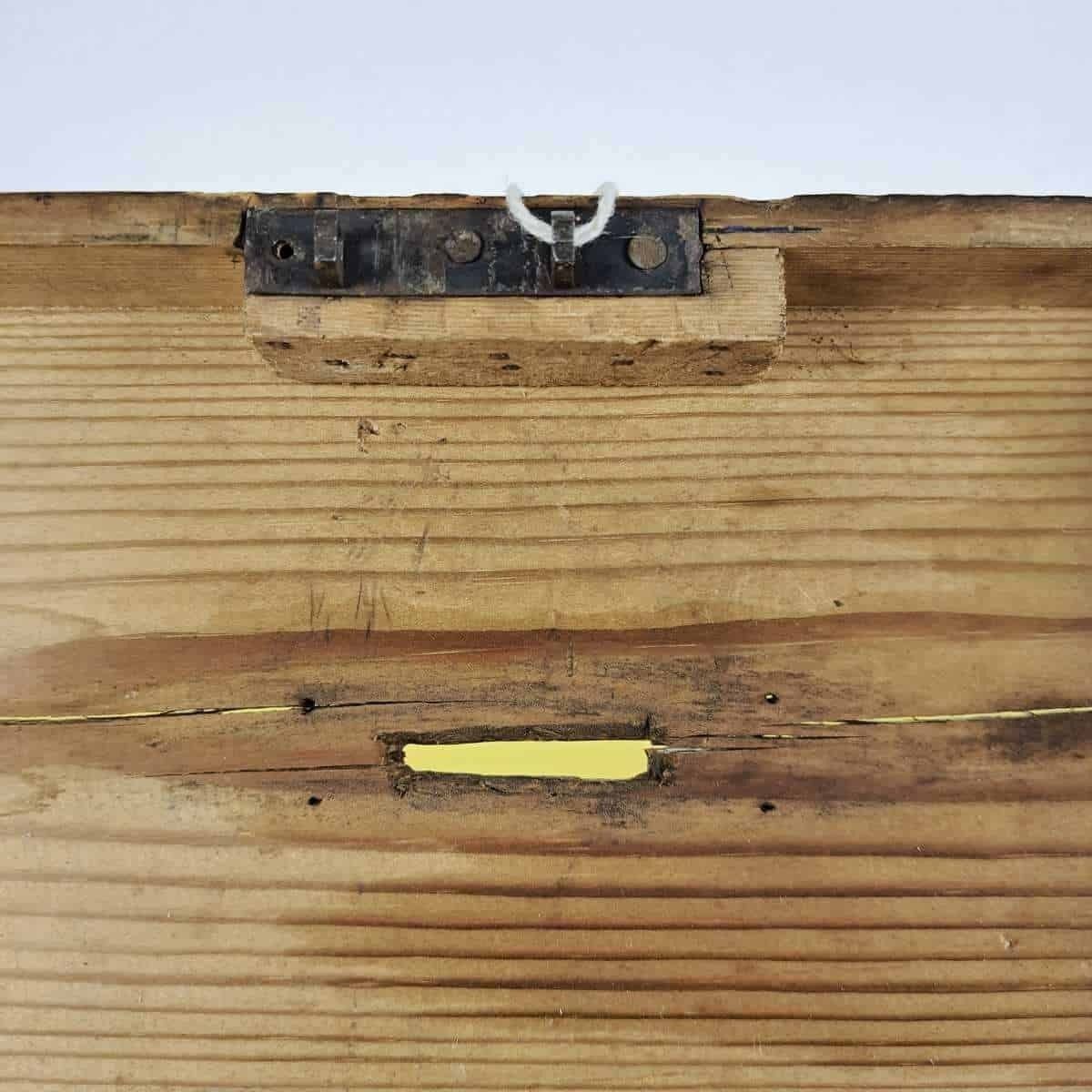 Wooden Box Early 1900s, Lot, Antique photo vintage