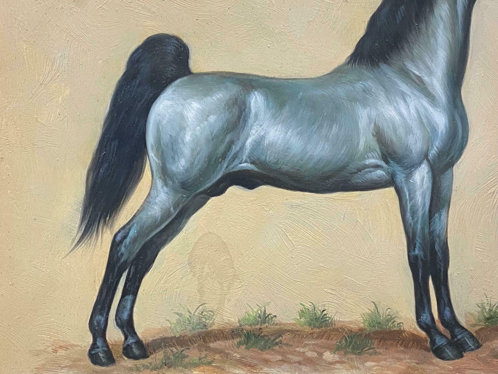 British Sporting Artfine Equestrian Horse Portrait British Oil Painting   Horse Standing20th Century photo 767.0