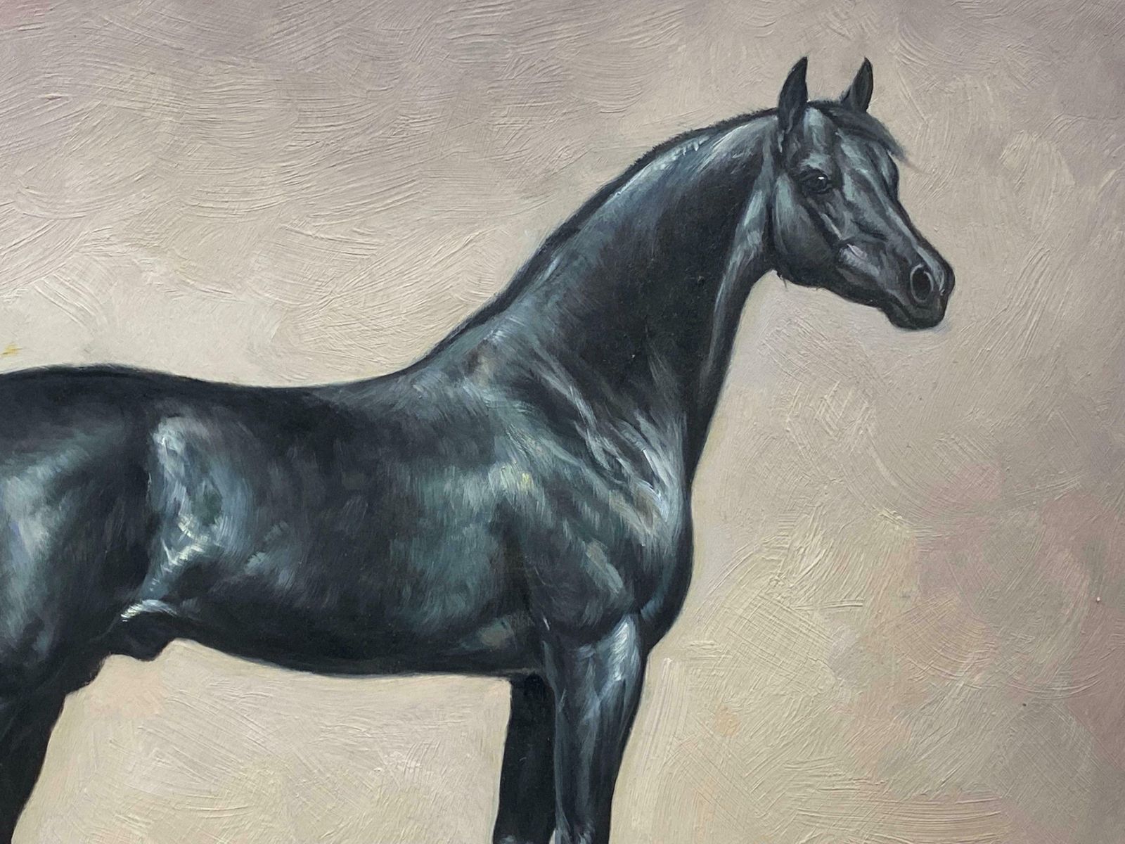 British Sporting Artfine Equestrian Horse Portrait British Oil Painting   Horse Standing20th Century photo furniture