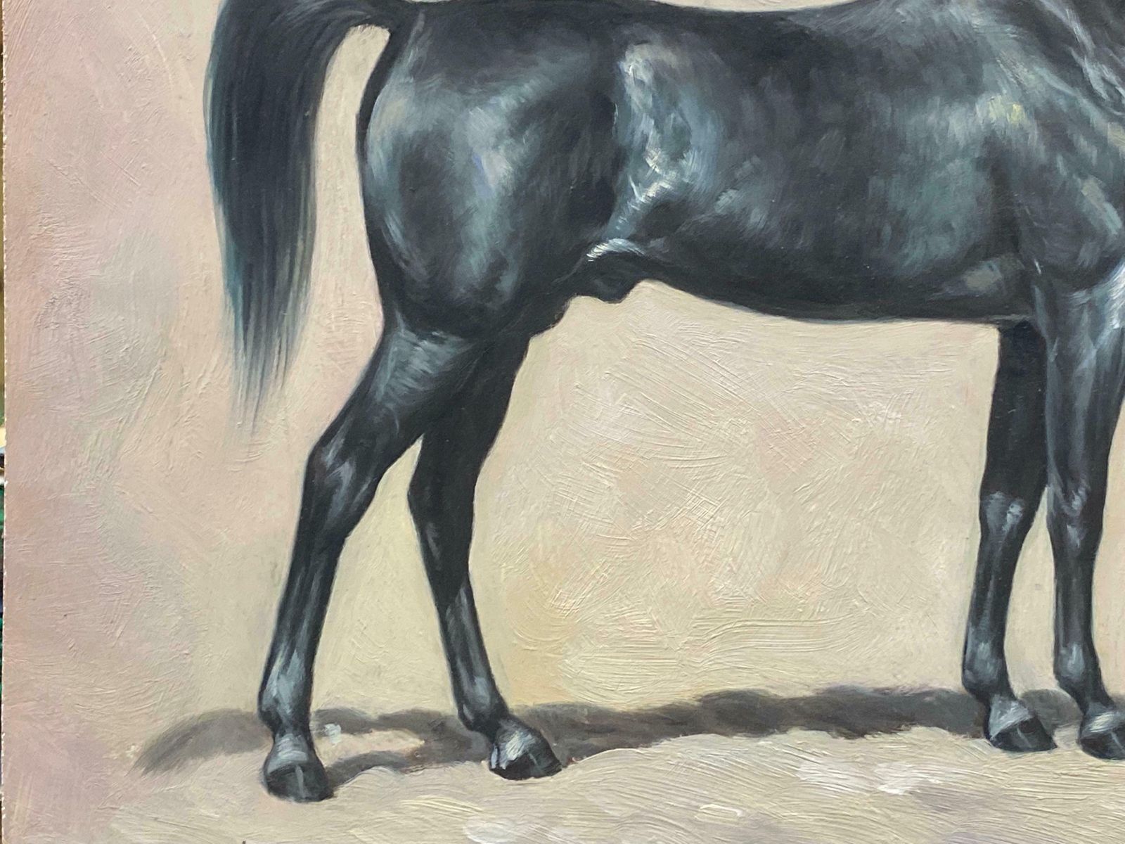British Sporting Artfine Equestrian Horse Portrait British Oil Painting   Horse Standing20th Century photo Art