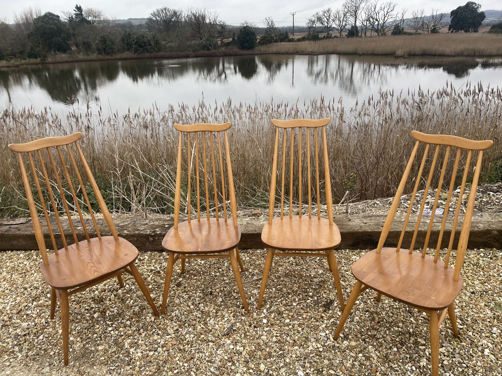 Set Of 4 Ercol Goldsmith Dining Chairs In Blonde , Blue Label photo 695.0