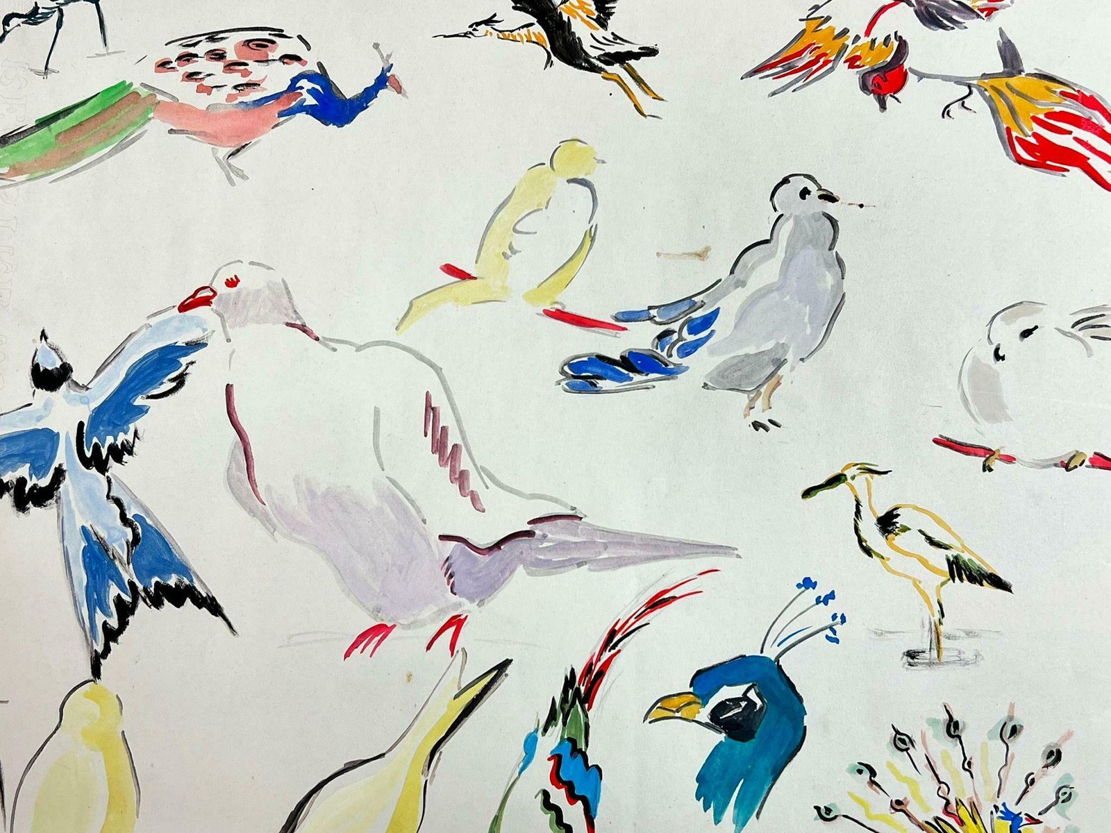 Josine Vignonmid Century French Illustration Sketches Of Different Colorful Birds1960's photo 306.0