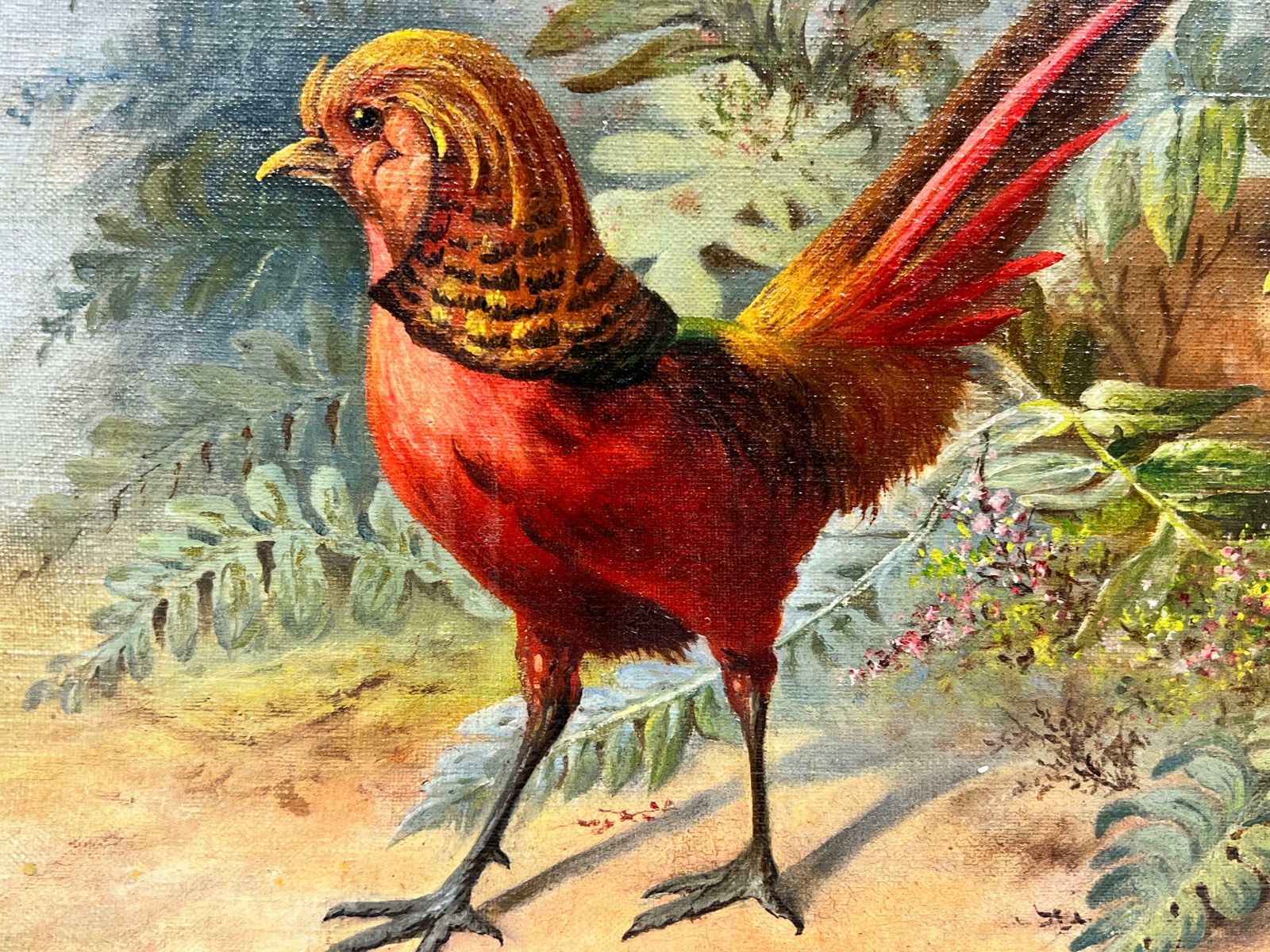 French Schoolexotic Rare Pheasants In Natural Landscape 19th Century French Oil Painting photo furniture