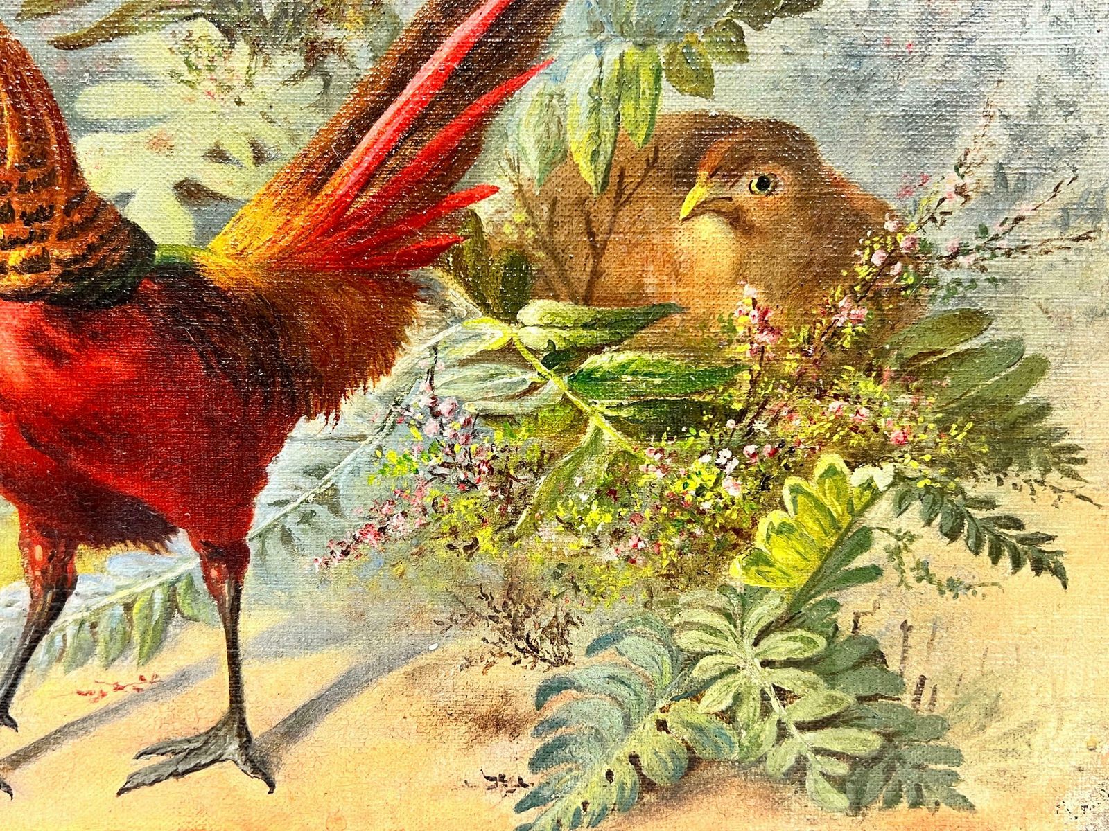 French Schoolexotic Rare Pheasants In Natural Landscape 19th Century French Oil Painting photo for sale