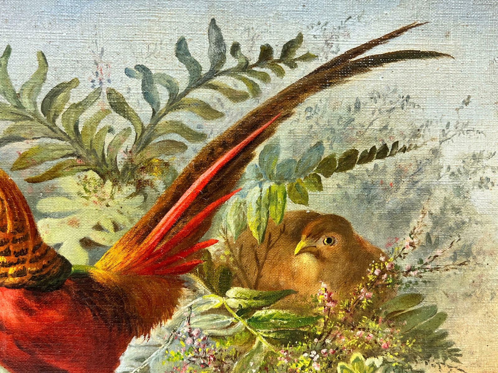 French Schoolexotic Rare Pheasants In Natural Landscape 19th Century French Oil Painting photo 903.0