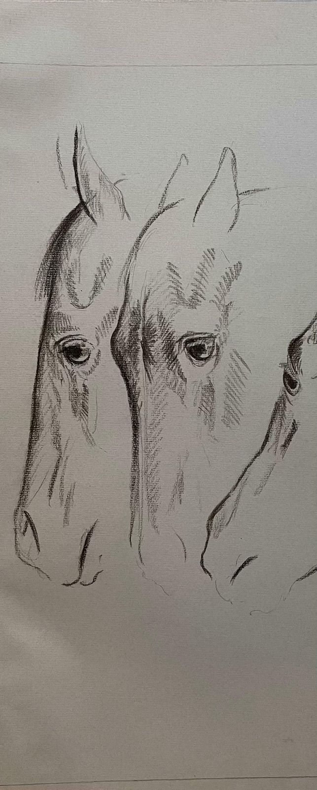 Robert Ladoustudy Of The Movement Of A Horses Head By Robert Ladou20th Century photo Art