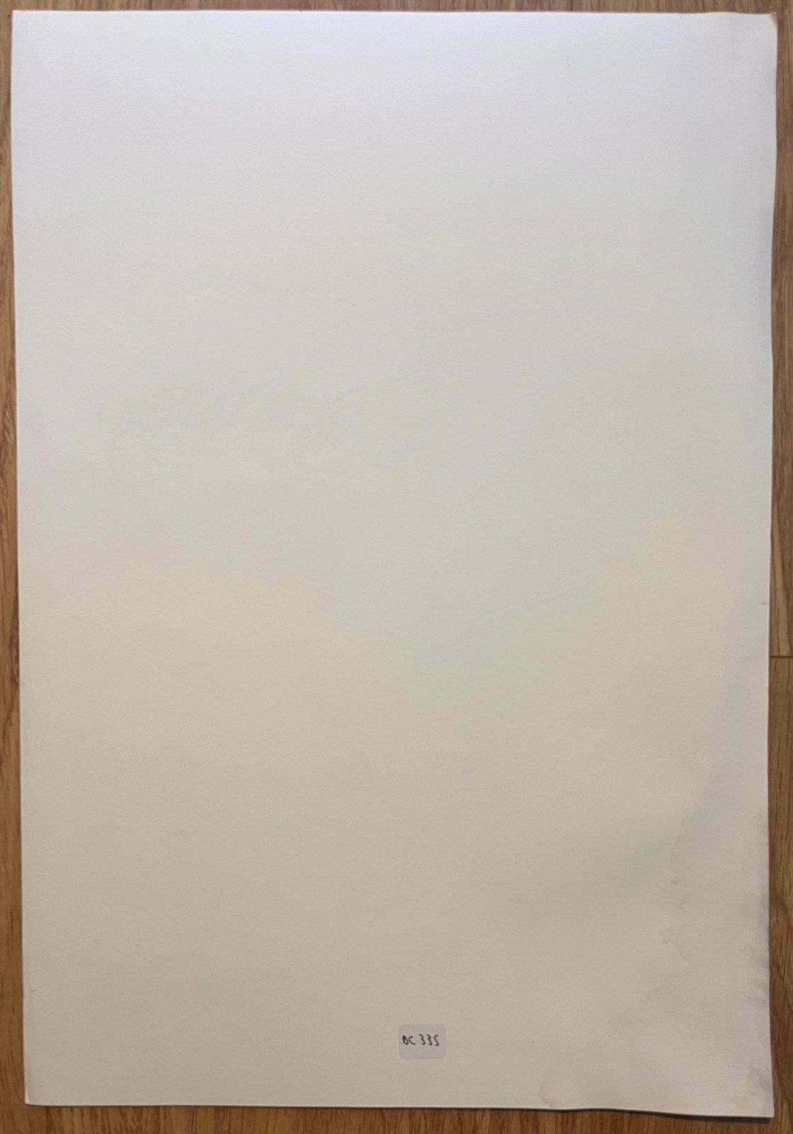 Robert Ladoustudy Of The Movement Of A Horses Head By Robert Ladou20th Century photo vinterior