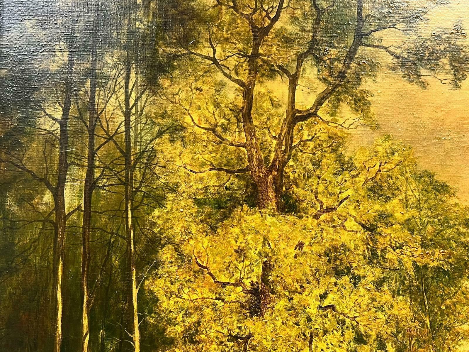 David Meadhuge British Oil Painting Golden River Landscape With Rising Hills, Framed photo Art