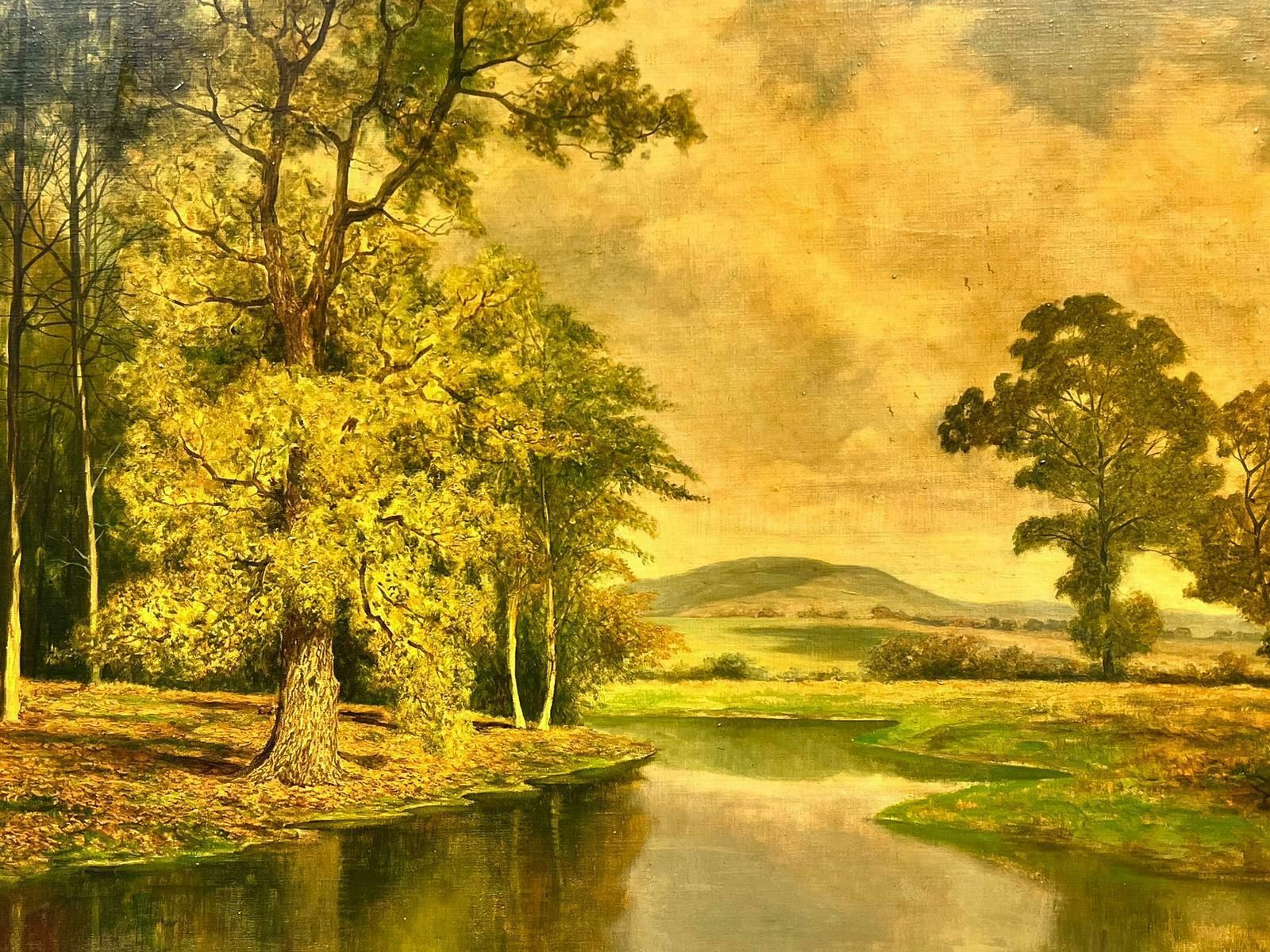 David Meadhuge British Oil Painting Golden River Landscape With Rising Hills, Framed photo buy