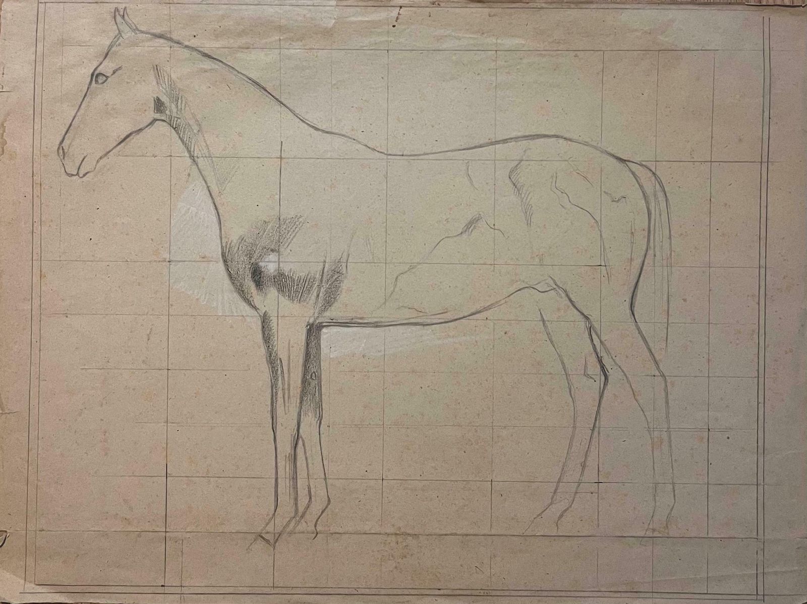 Robert Ladouoriginal French Anatomical Pencil Study Of A Horse In Profile20th Century
