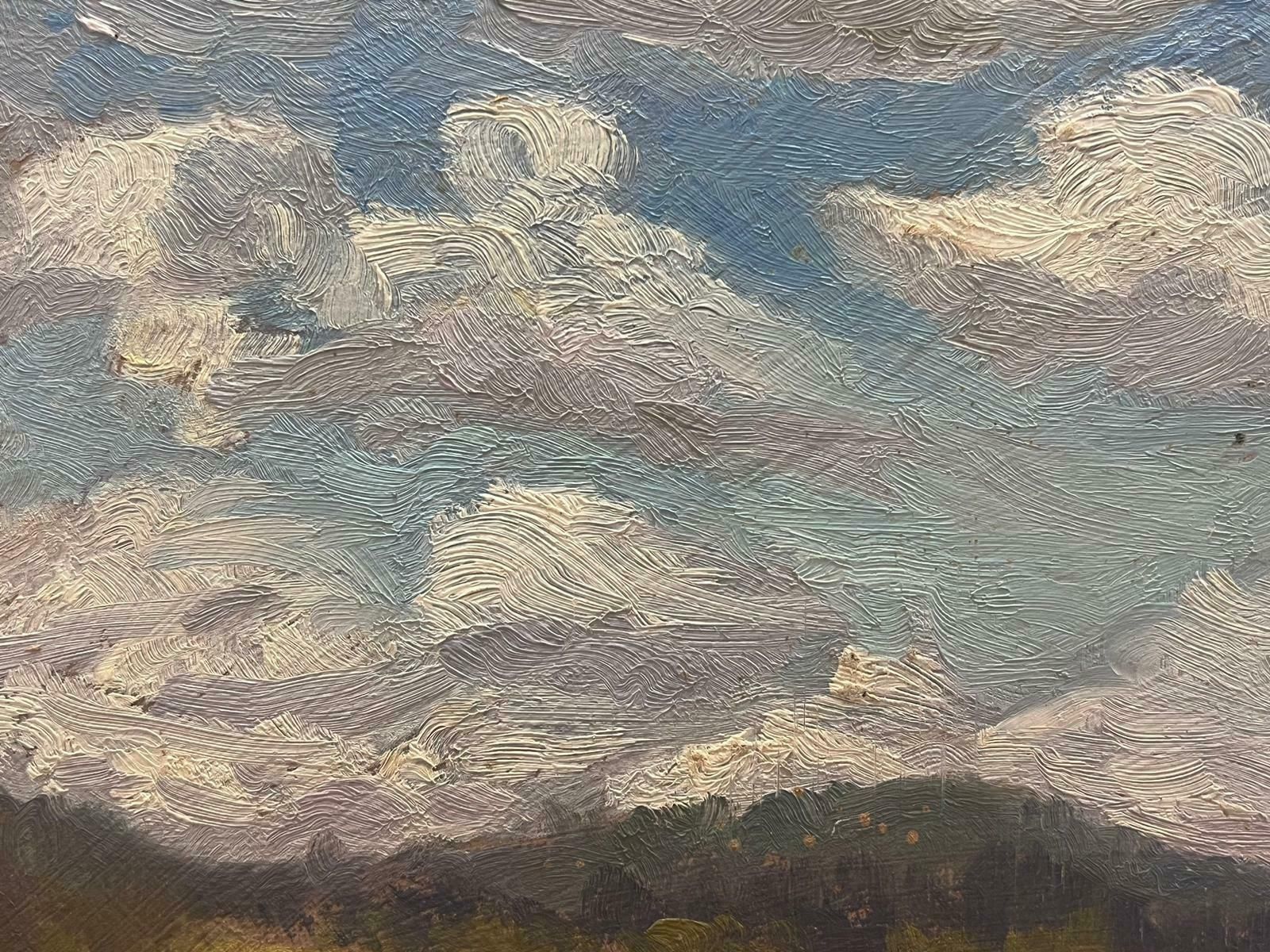Geza Somerset Paddoncloudy Skies Over Golden Meadow Contemporary British Oil Painting photo for sale