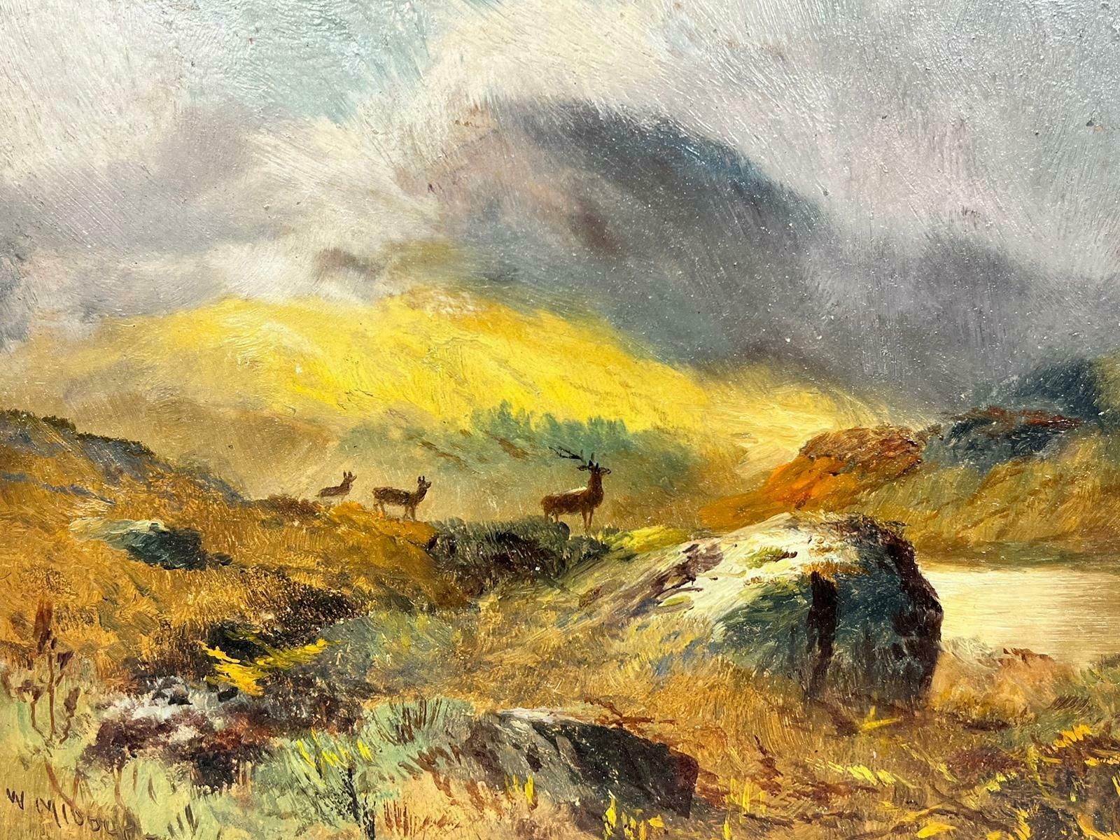 Charles W. Middletonvictorian Signed Oil Family Of Stags Scottish Highland Landscape Beside Loch1896 photo furniture