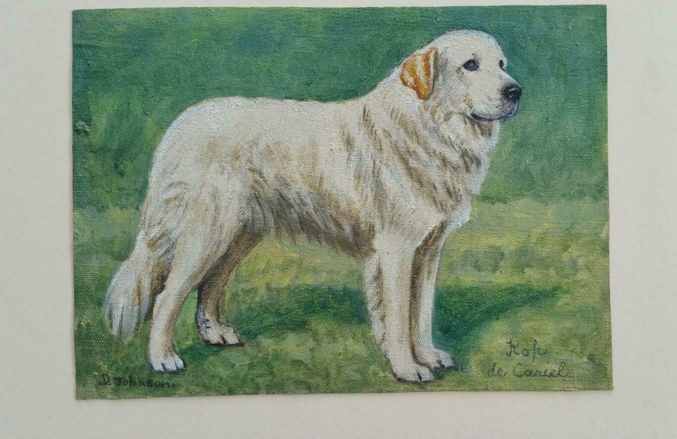 Dorothy Alexandra Johnsonenglish School Mid 20th Century Oil Painting Pyrenean Mountain Dogc 1950s photo 765.0