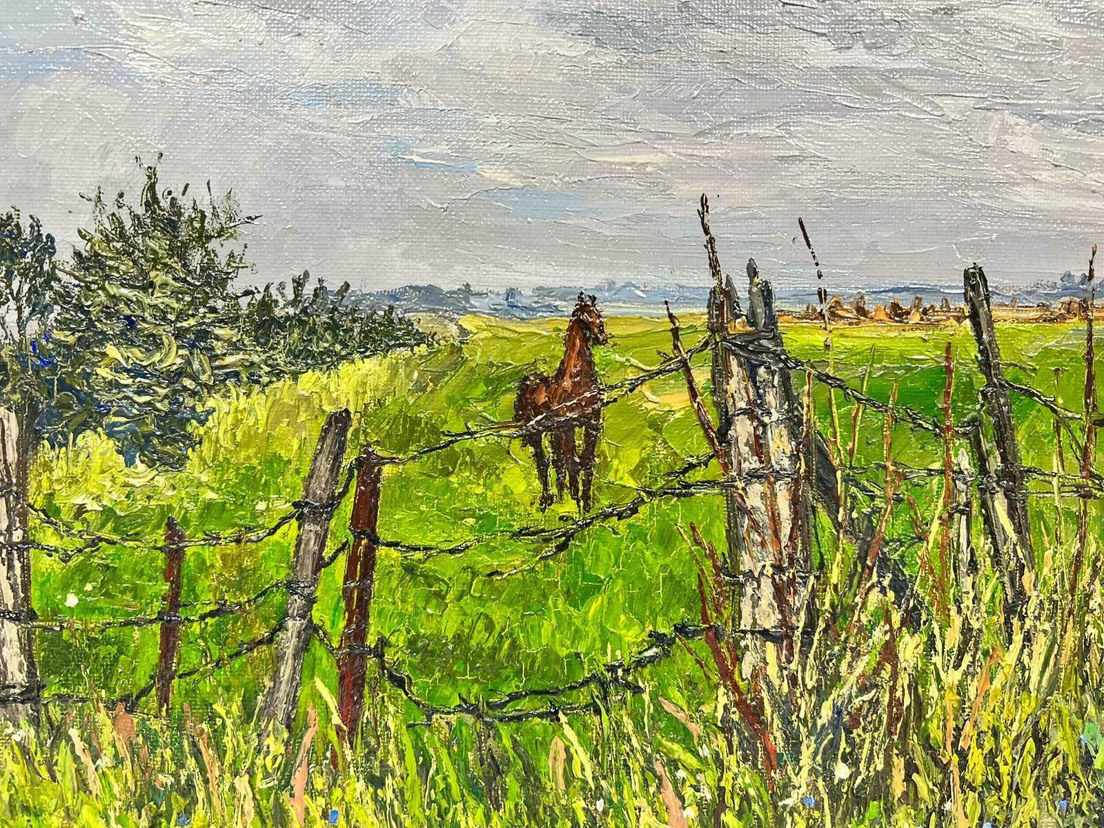 Josine Vignonbrown Arabian Horse In Wired Green Field Thick Oil Impasto1960's photo Art