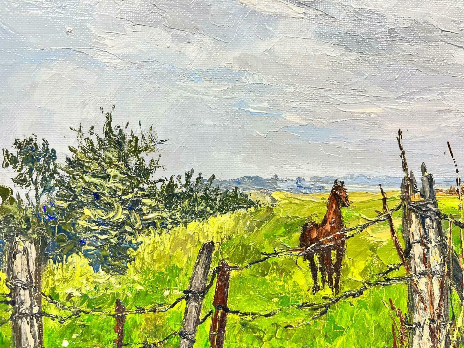 Josine Vignonbrown Arabian Horse In Wired Green Field Thick Oil Impasto1960's photo 1224.0