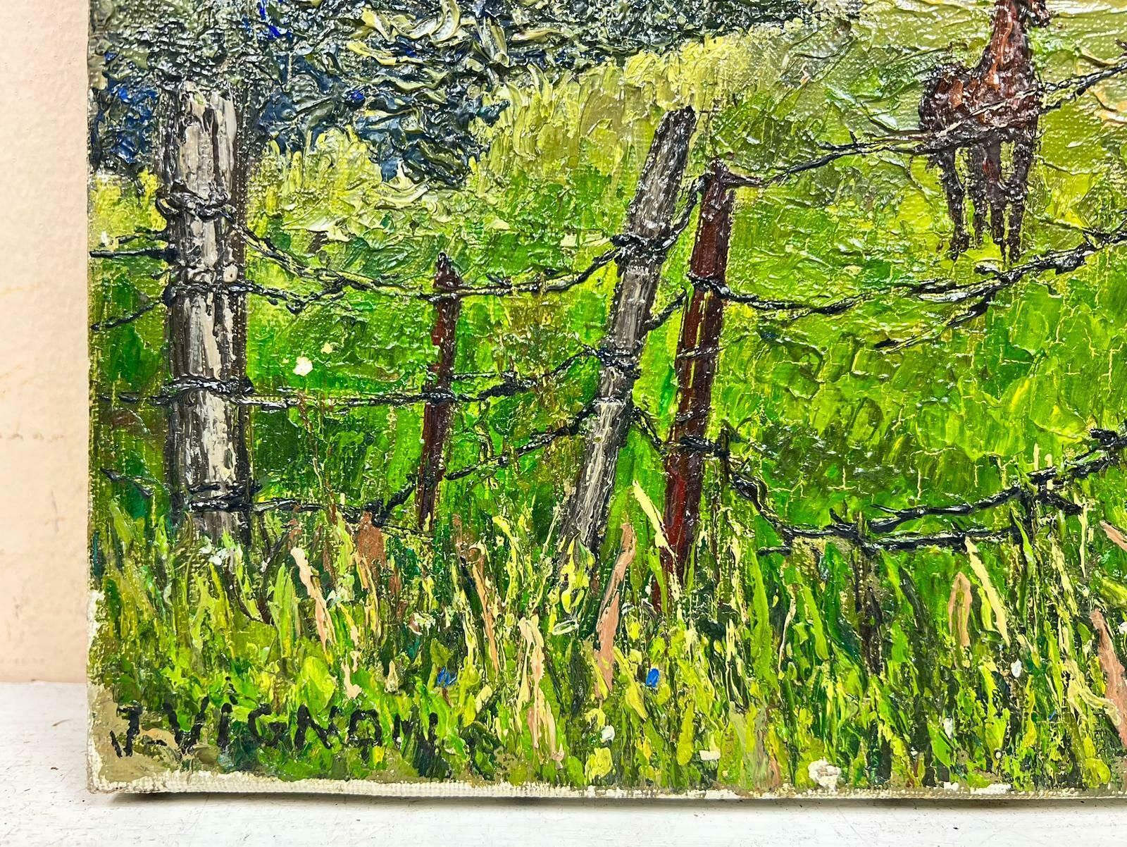 Josine Vignonbrown Arabian Horse In Wired Green Field Thick Oil Impasto1960's photo vinterior