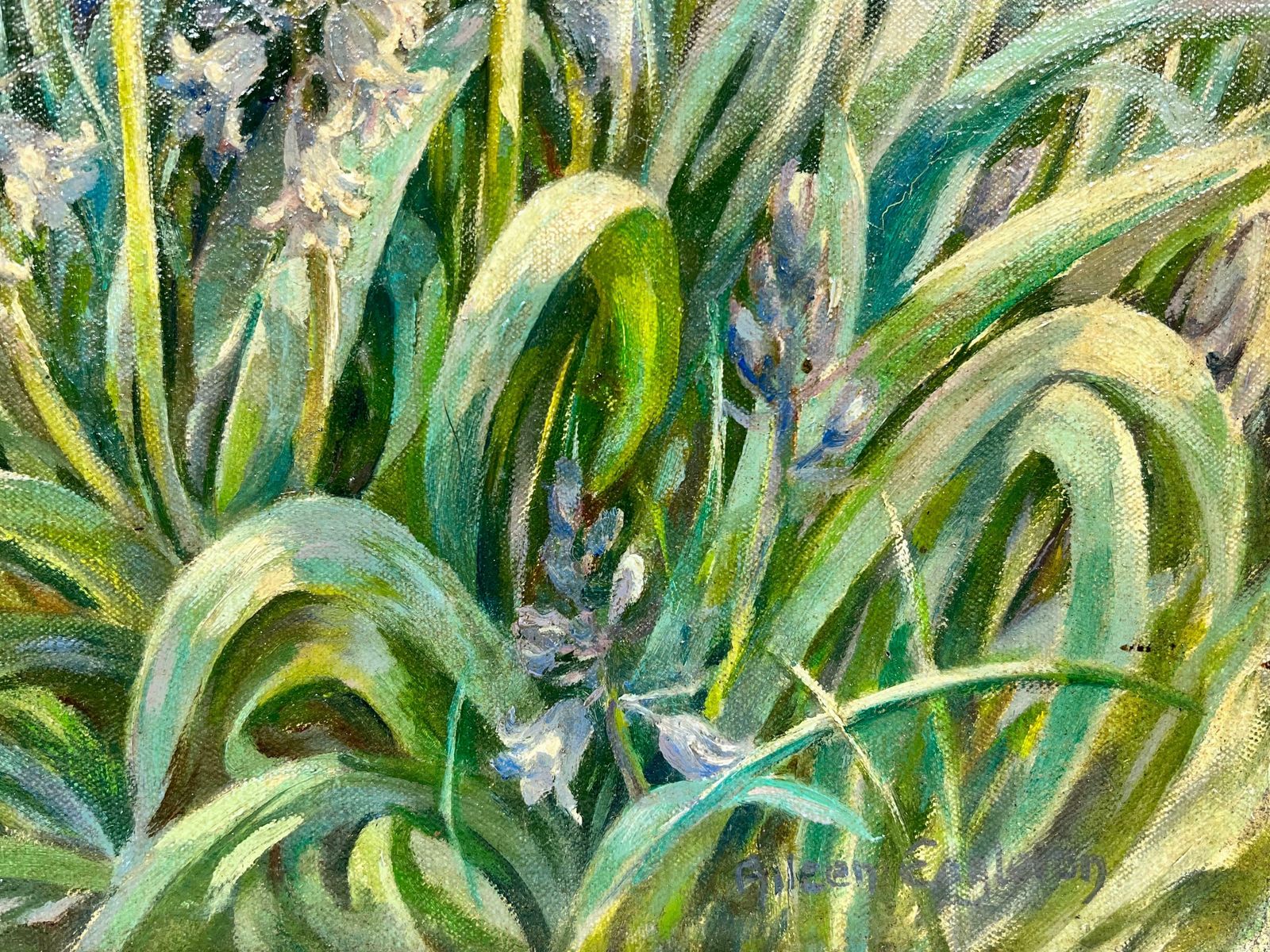 Aileen C.Eagletonbluebell Woodland Impressionist Oil Landscape Signed English Artist photo furniture