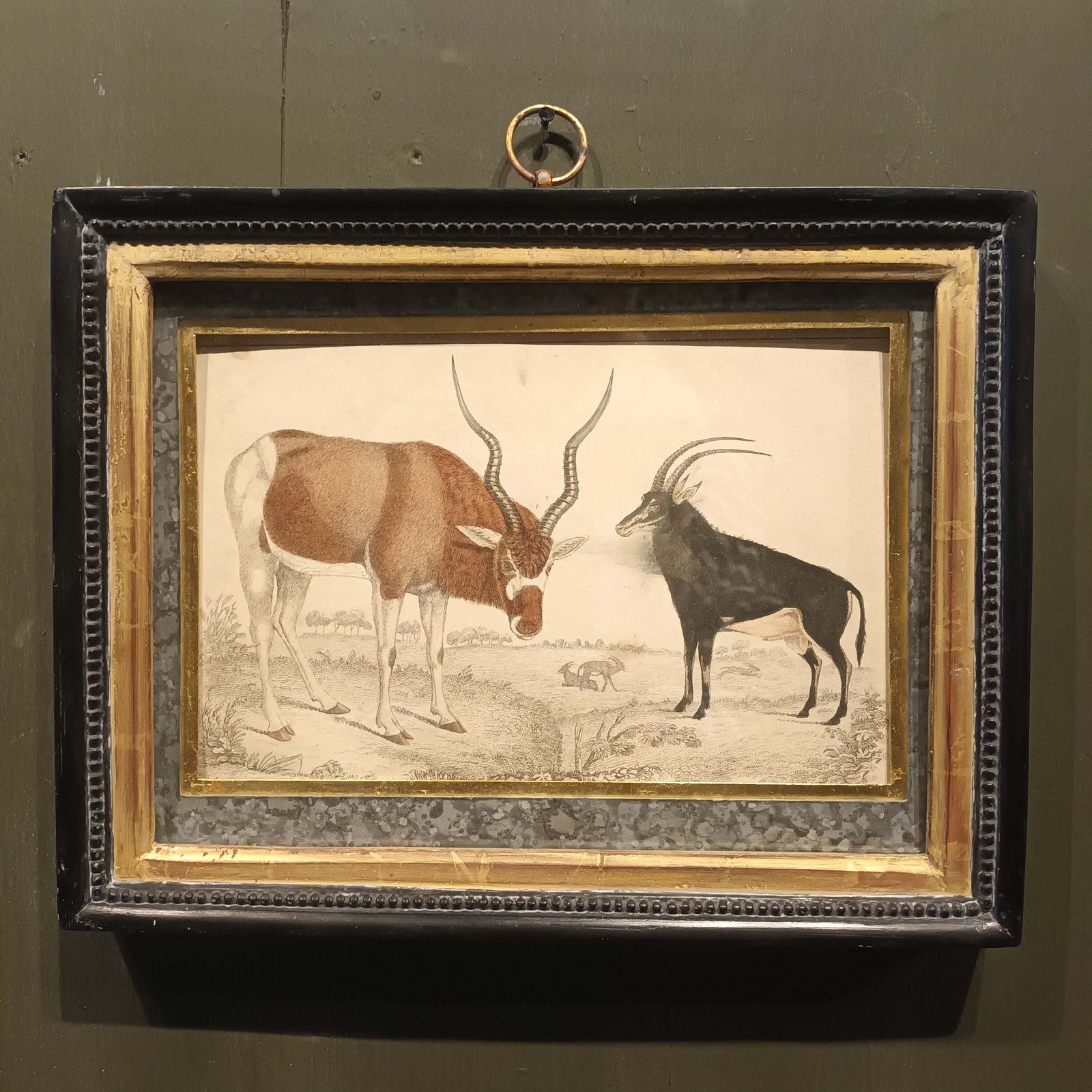 19th Century Framed Antelope And Hog Pictures photo furniture