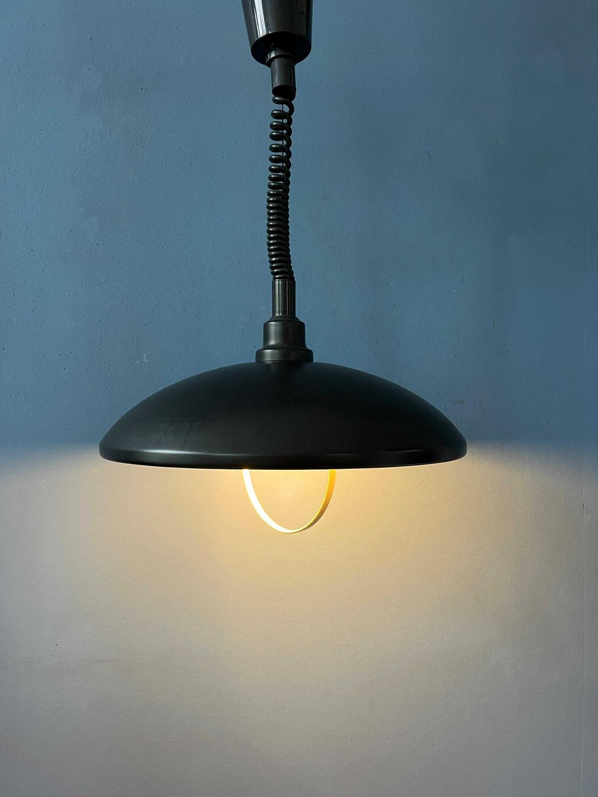 Oval Black Mid Century Metal Mid Century Pendant Lamp photo for sale