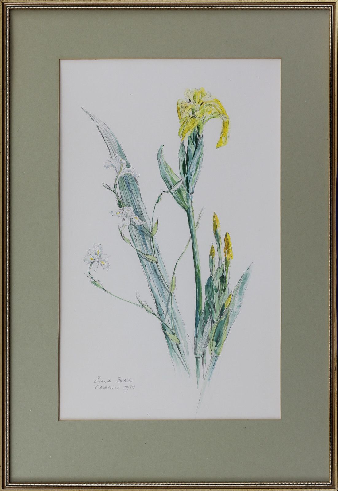 A Pair Of Watercolours By Zillah Pettit. Subject Is Flowers, Arum And Iris. photo 119.0