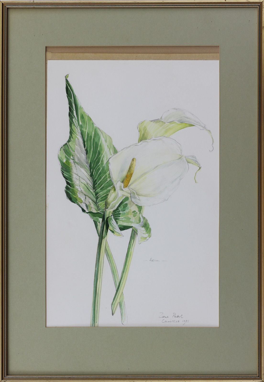 A Pair Of Watercolours By Zillah Pettit. Subject Is Flowers, Arum And Iris. photo vintage