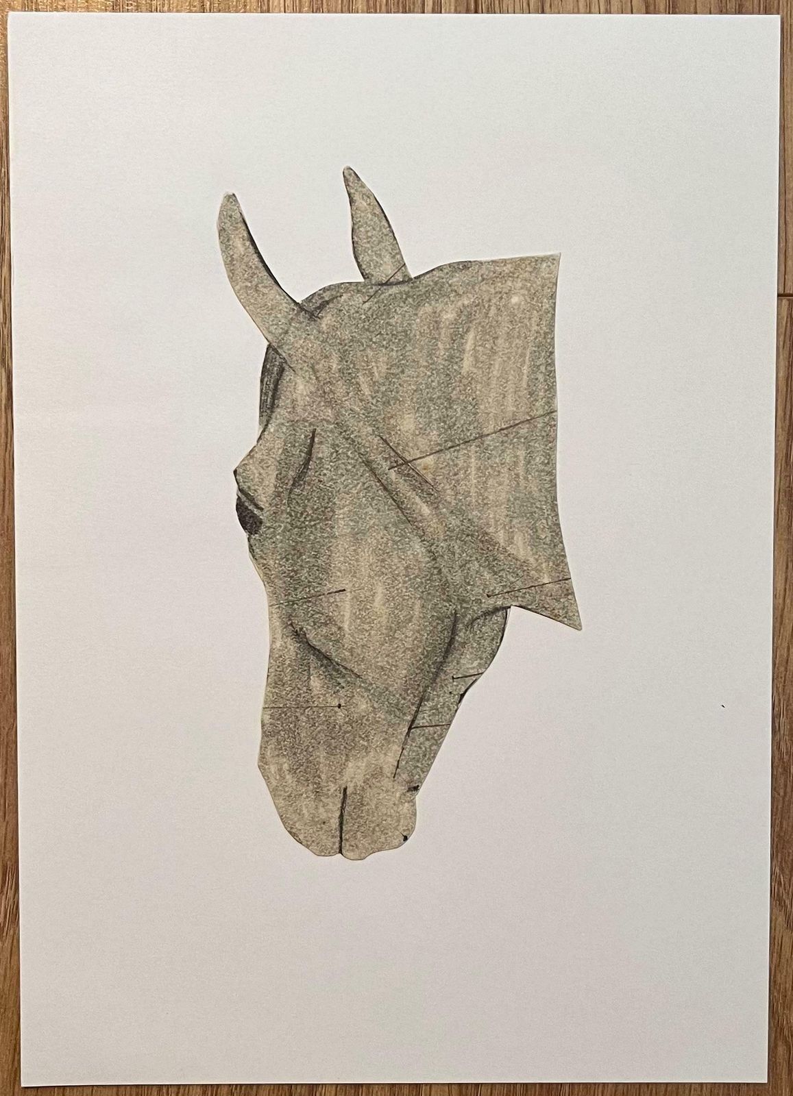Robert Ladouoriginal French Anatomical Study Of Horse's Head20th Century photo furniture