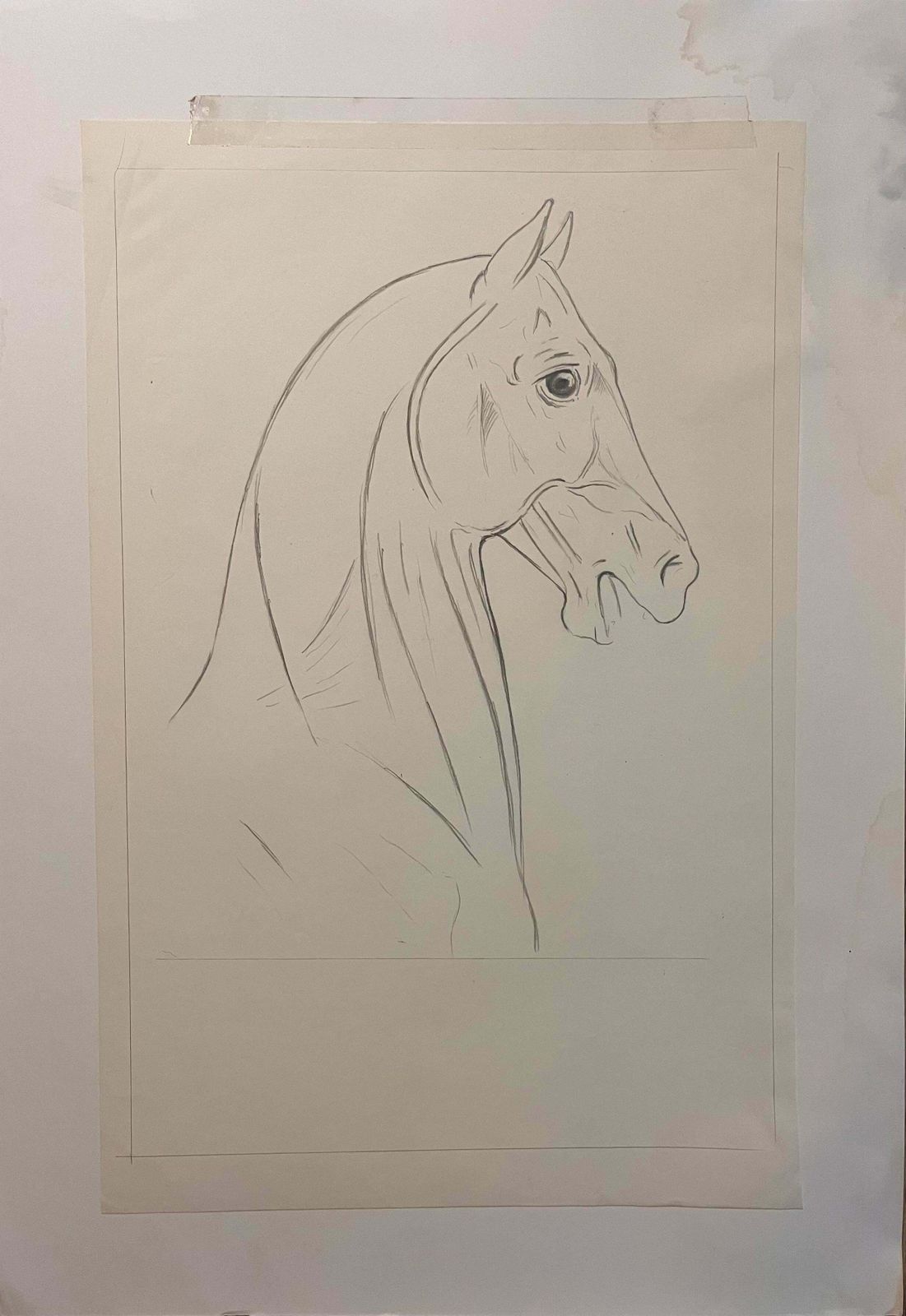 Robert Ladouoriginal French Anatomical Pencil Study Of Horse’s Head And Neck20th Century