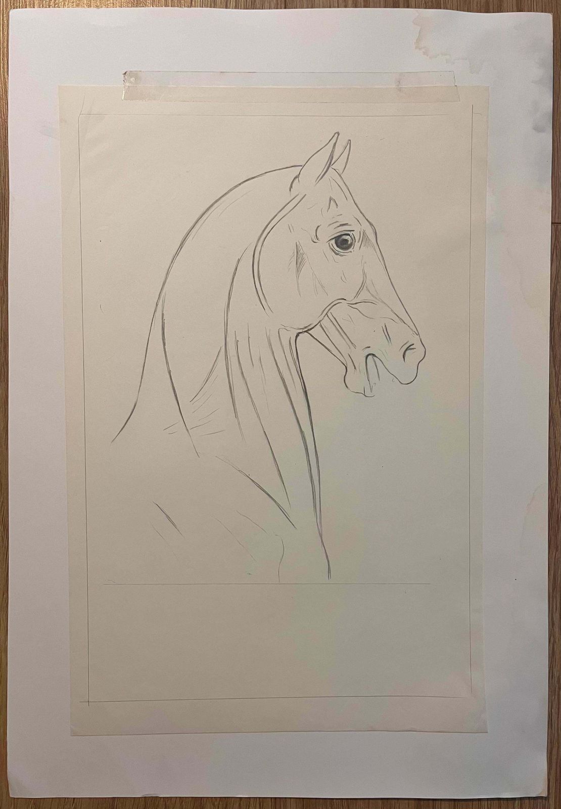 Robert Ladouoriginal French Anatomical Pencil Study Of Horse’s Head And Neck20th Century photo furniture