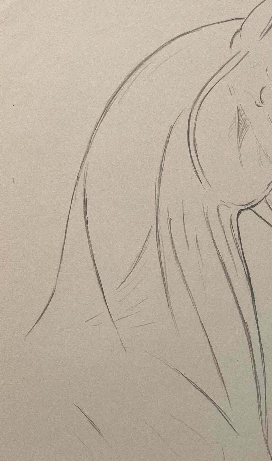 Robert Ladouoriginal French Anatomical Pencil Study Of Horse’s Head And Neck20th Century photo Art
