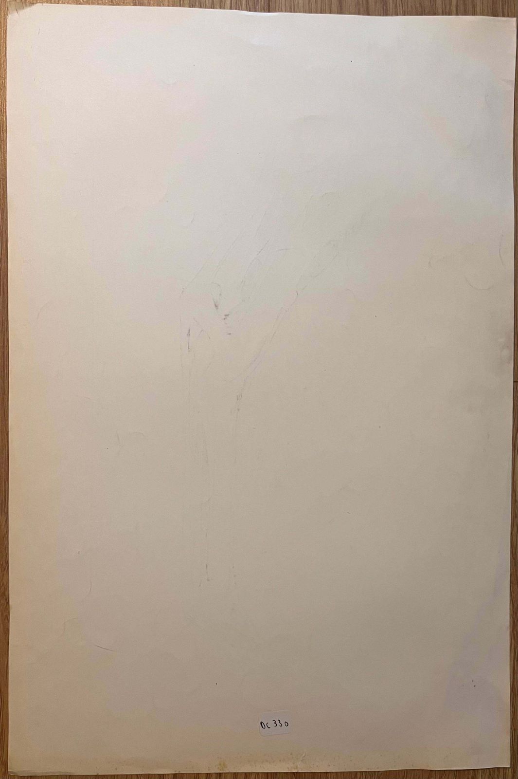 Robert Ladouoriginal French Anatomical Study Of A Horse's Leg20th Century photo vinterior